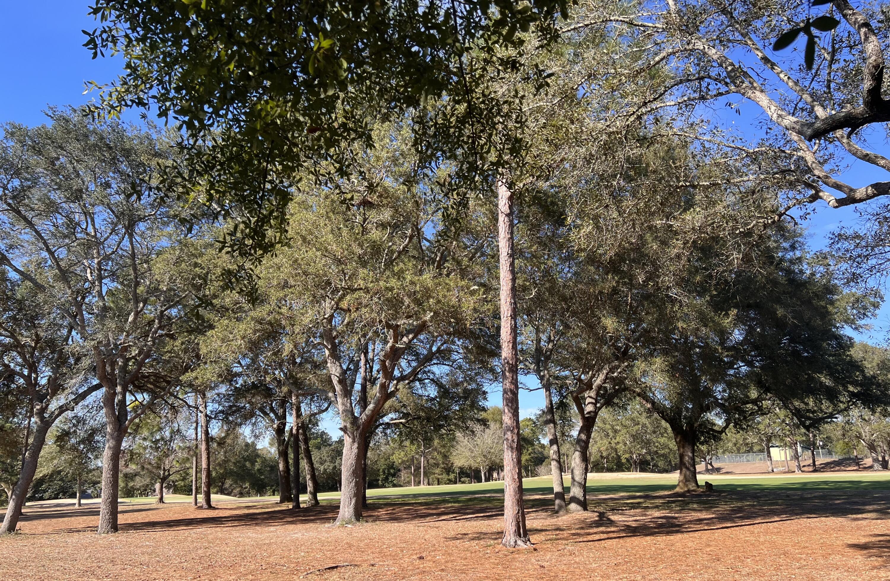 FAIRWAY WOODS S/D - Residential