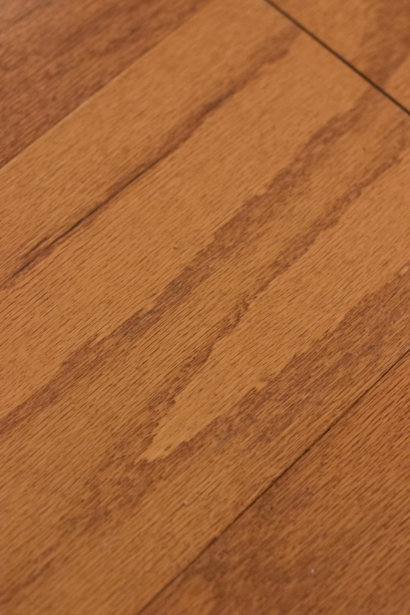 COBIA BAY - Residential