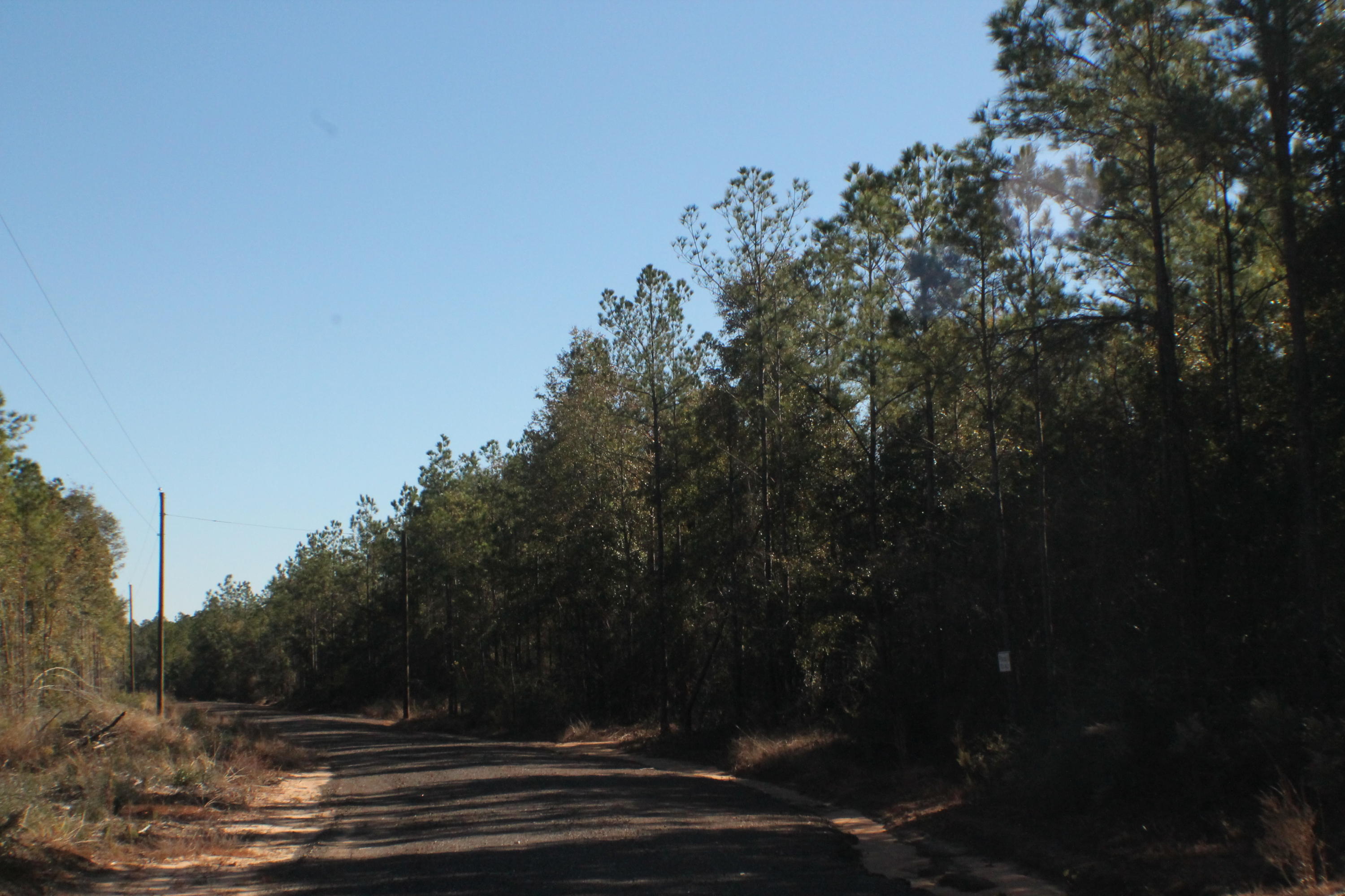 MILLERS BLUFF - Land