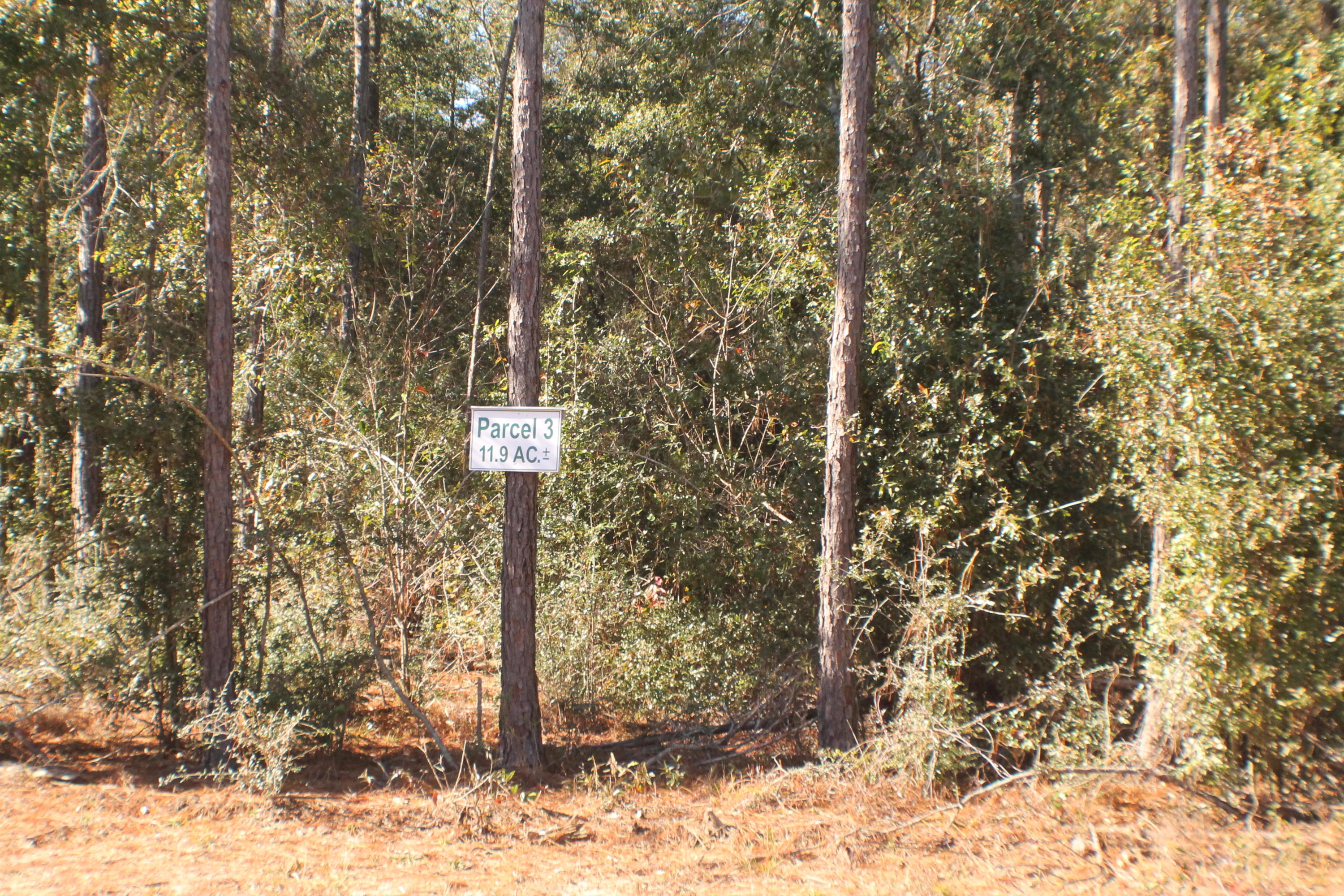 MILLERS BLUFF - Land