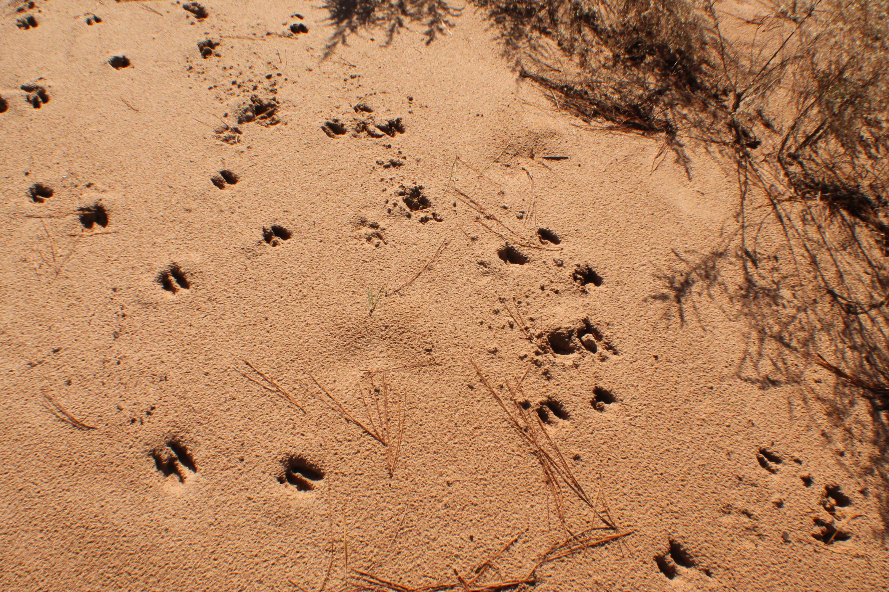 MILLERS BLUFF - Land