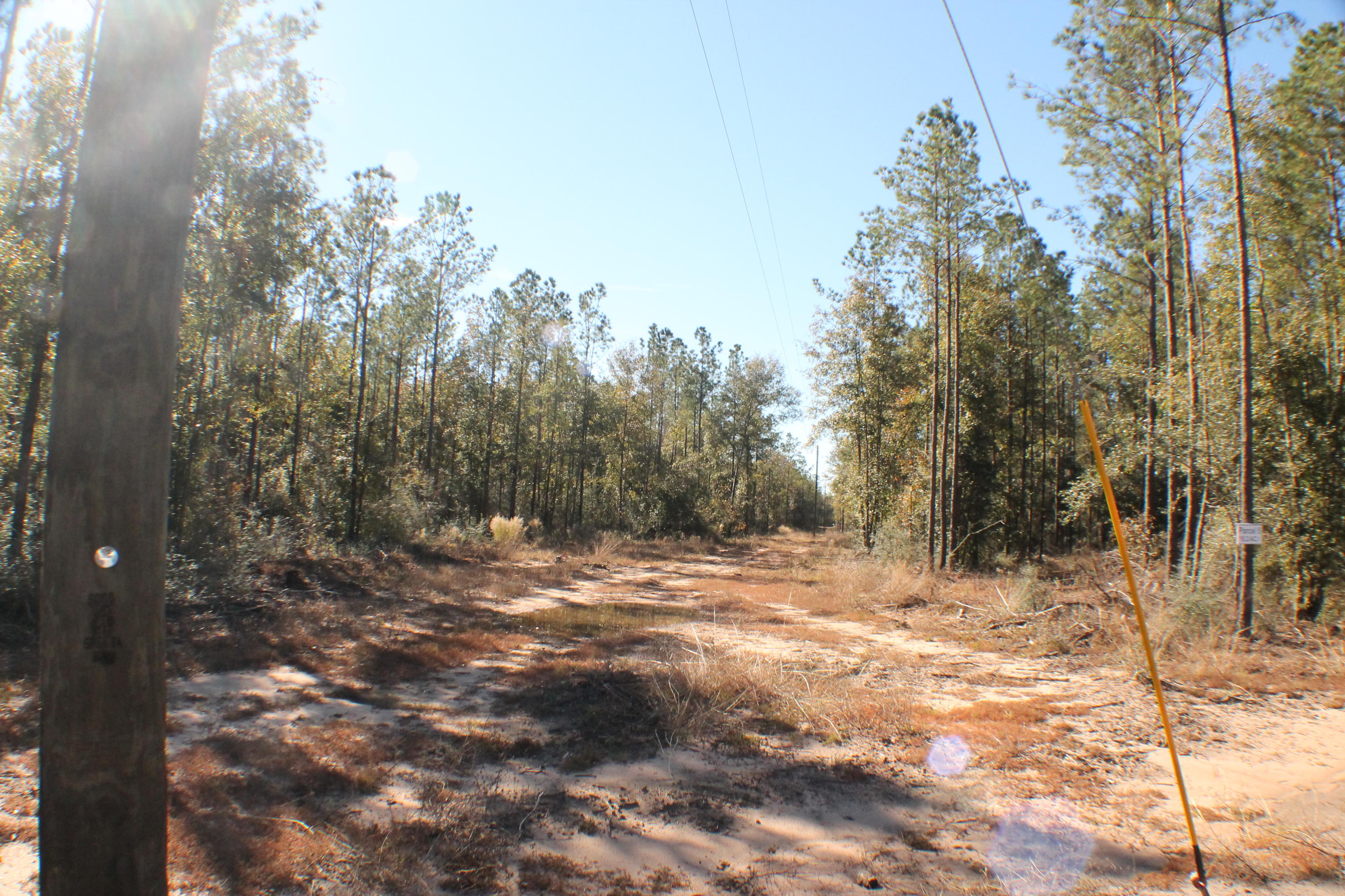 MILLERS BLUFF - Land