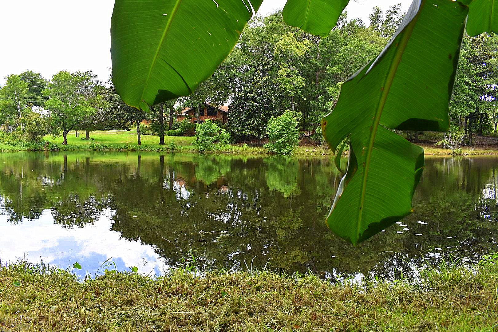 PINE LAKE S/D - Residential