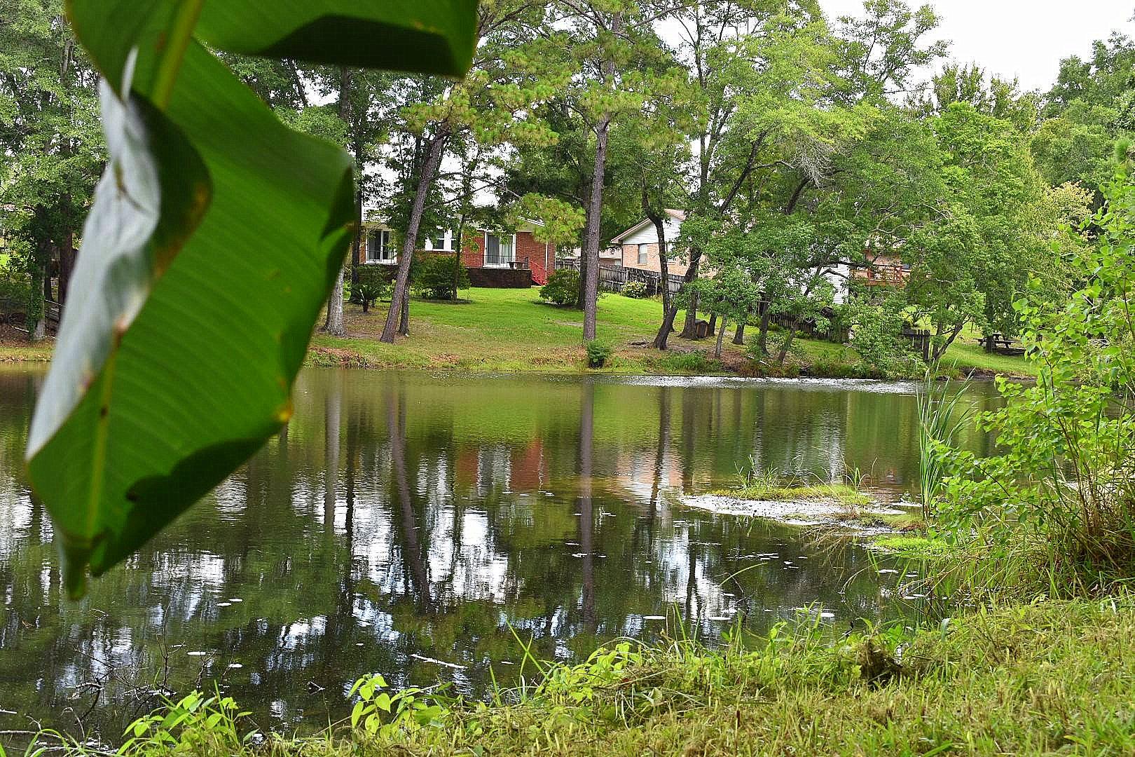 PINE LAKE S/D - Residential