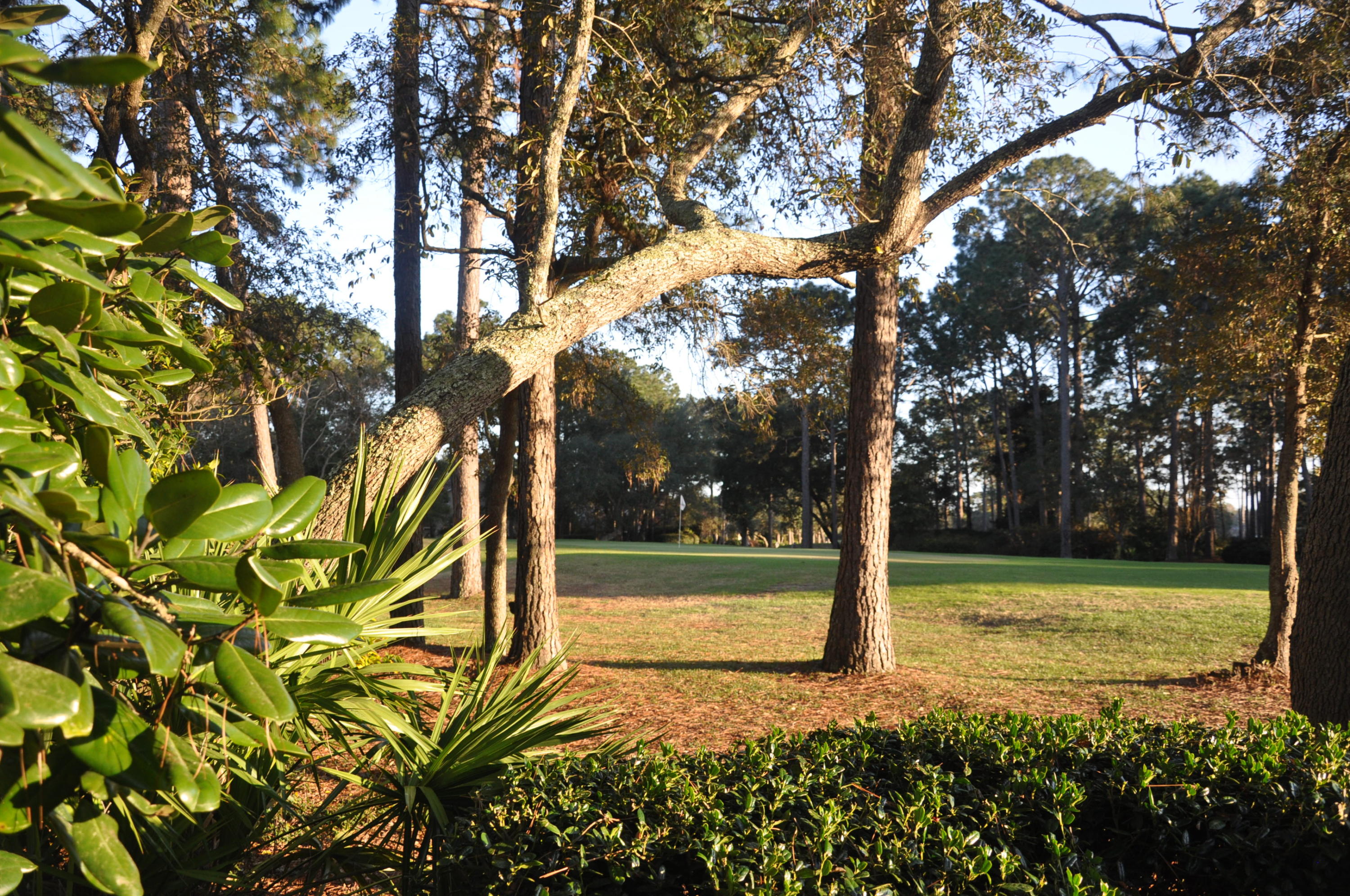 SOUTHWIND - Residential