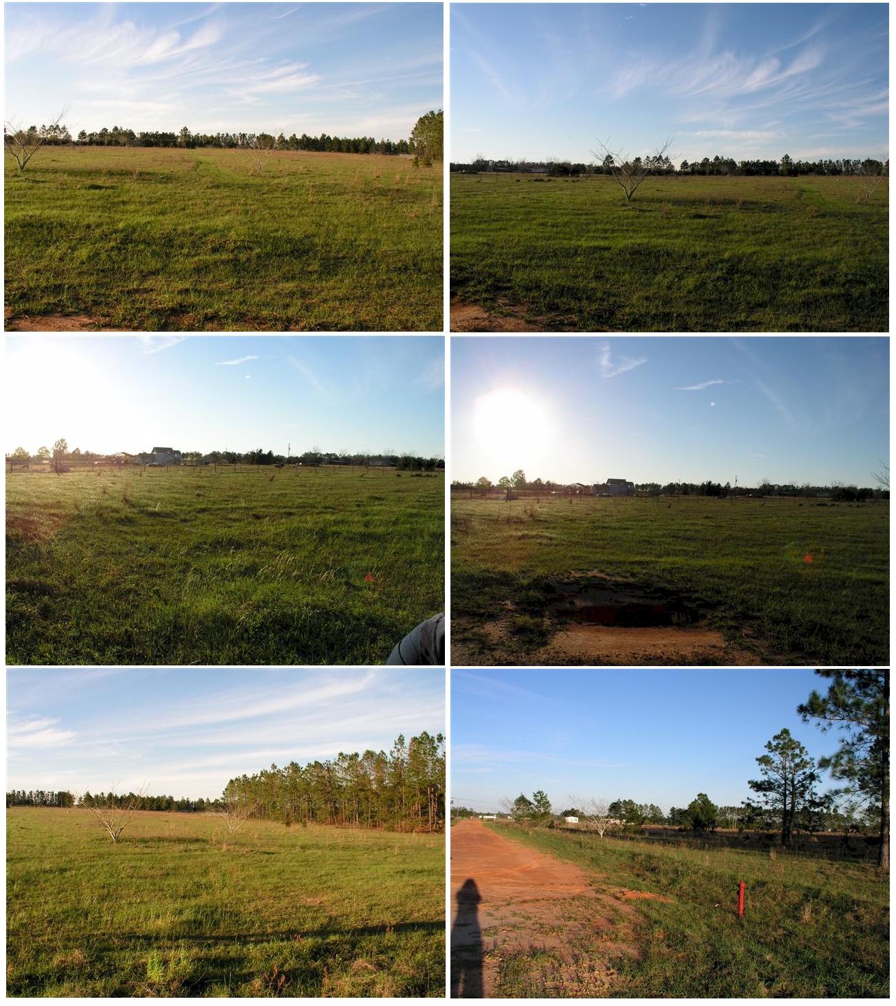 AMERICAN FARMS - Land