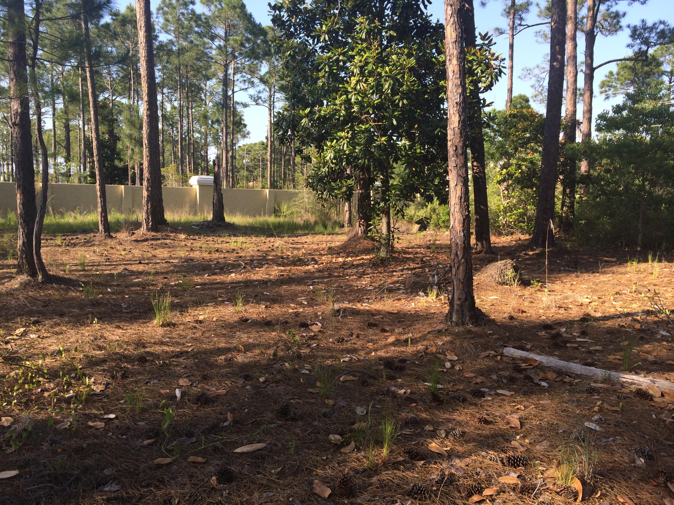 Cessna Landing - Land