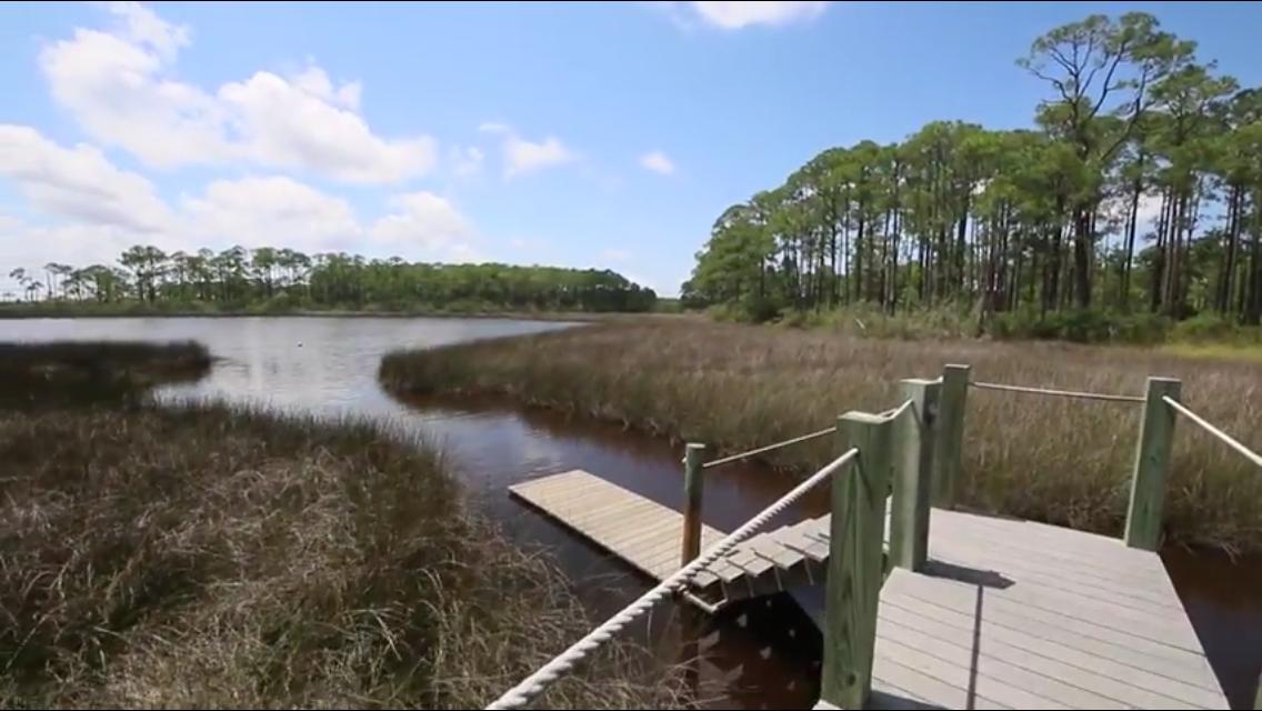 Cessna Landing - Land