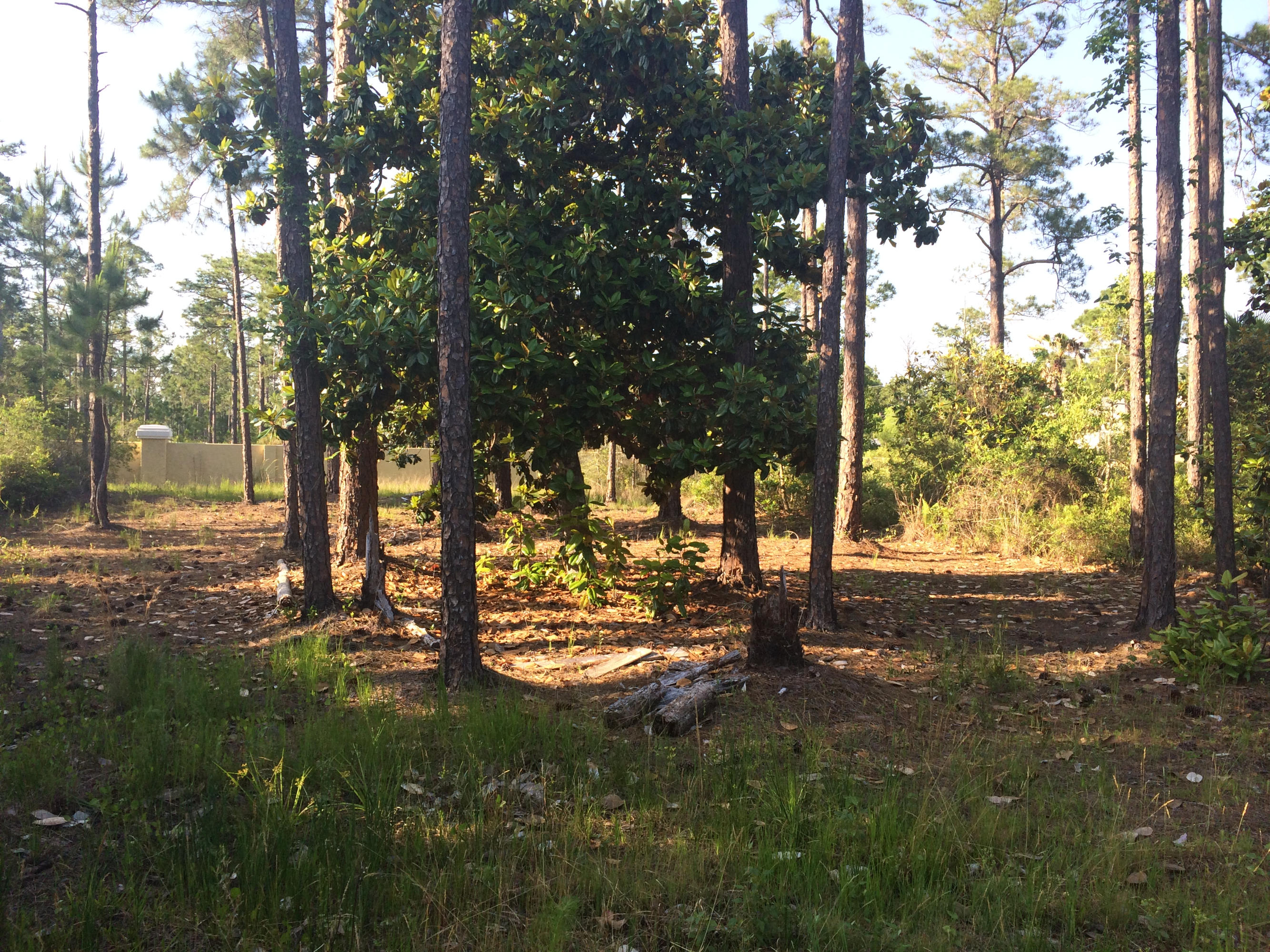 Cessna Landing - Land