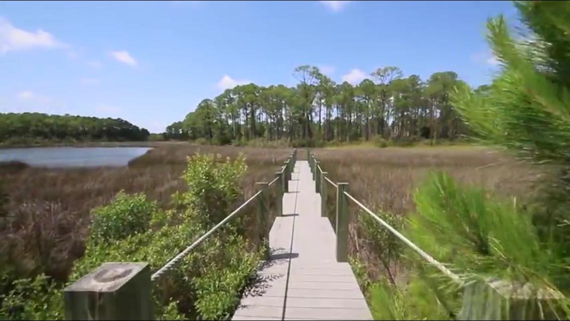 Cessna Landing - Land