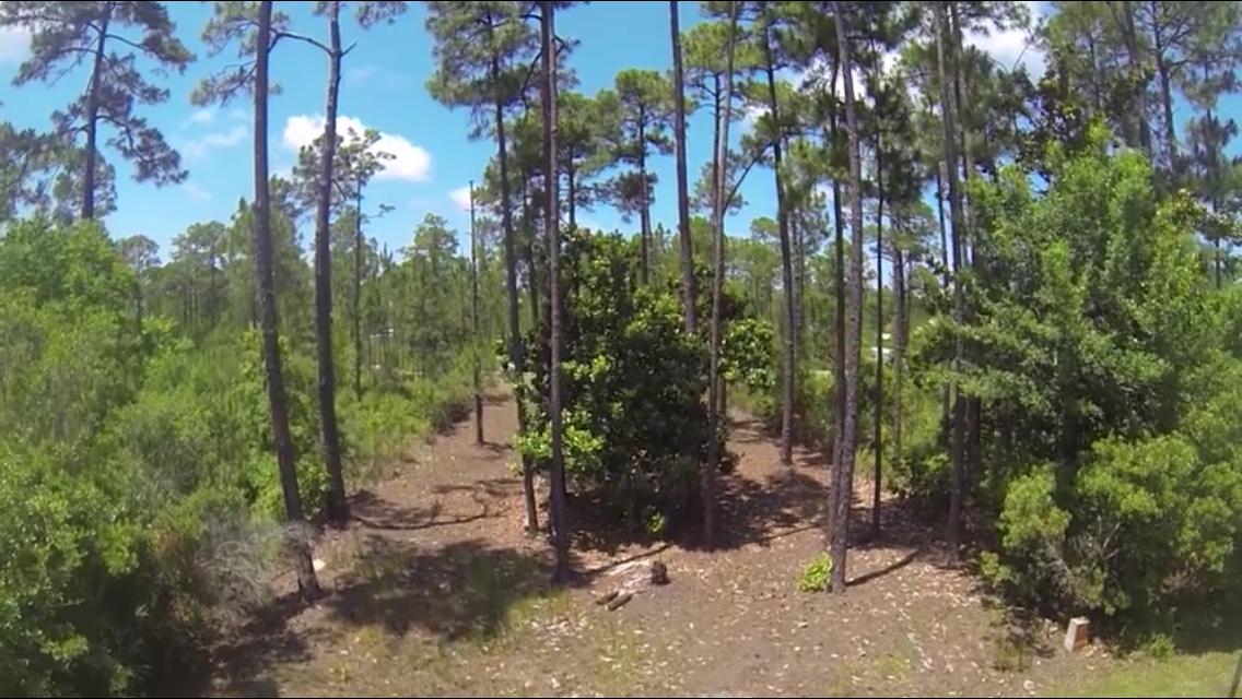 Cessna Landing - Land