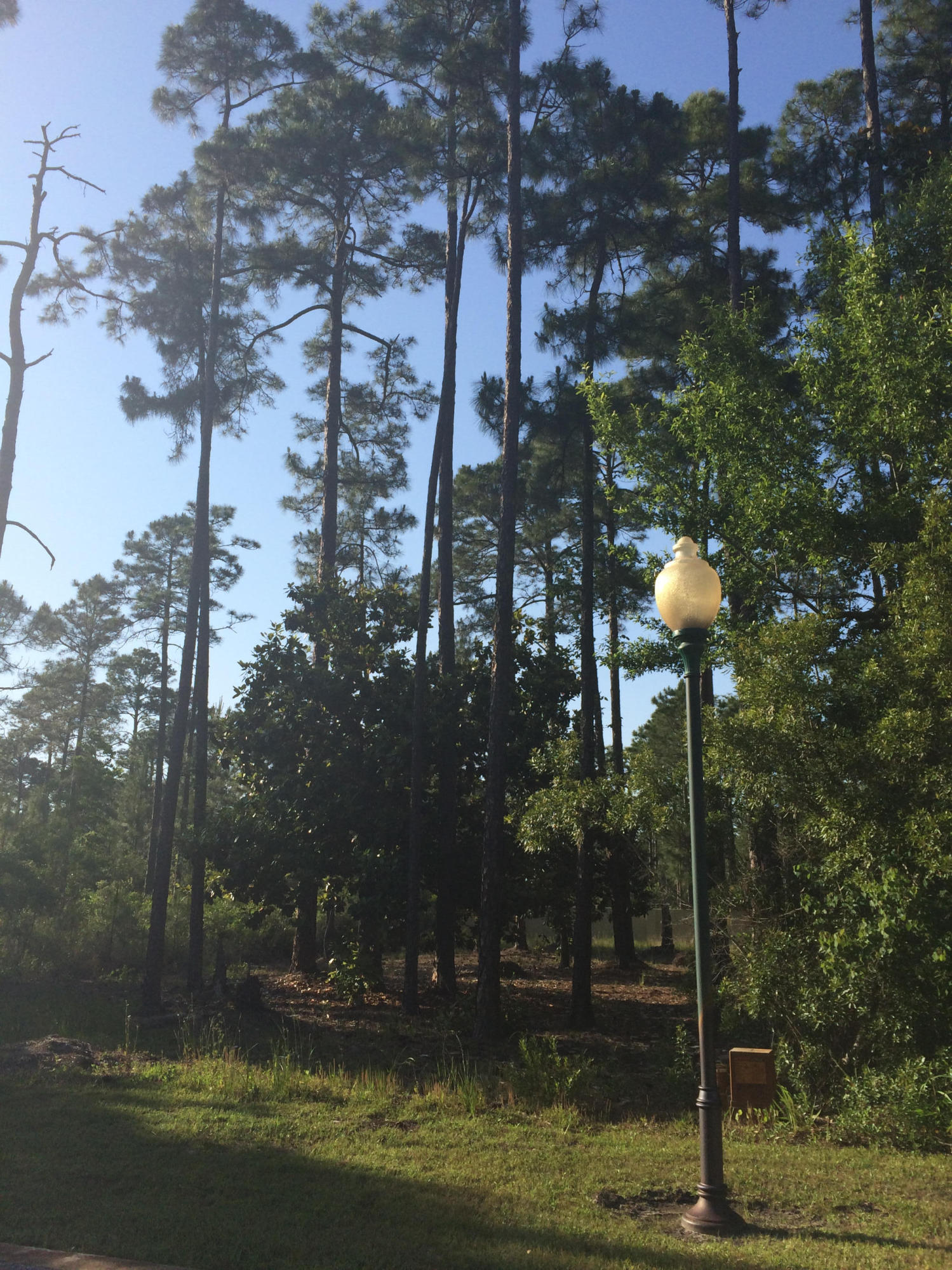 Cessna Landing - Land