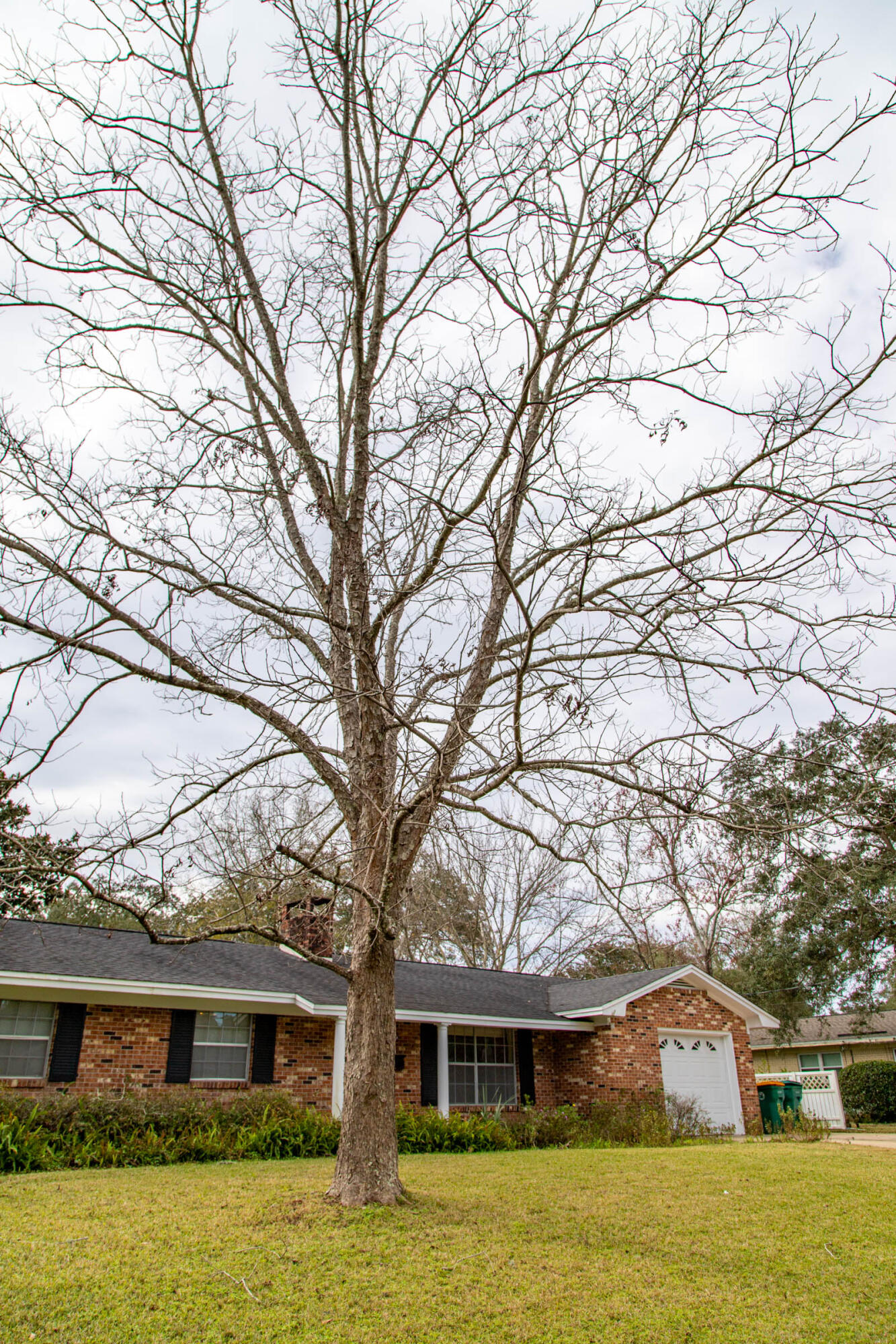 COLONY ESTATES 3RD ADDN - Residential