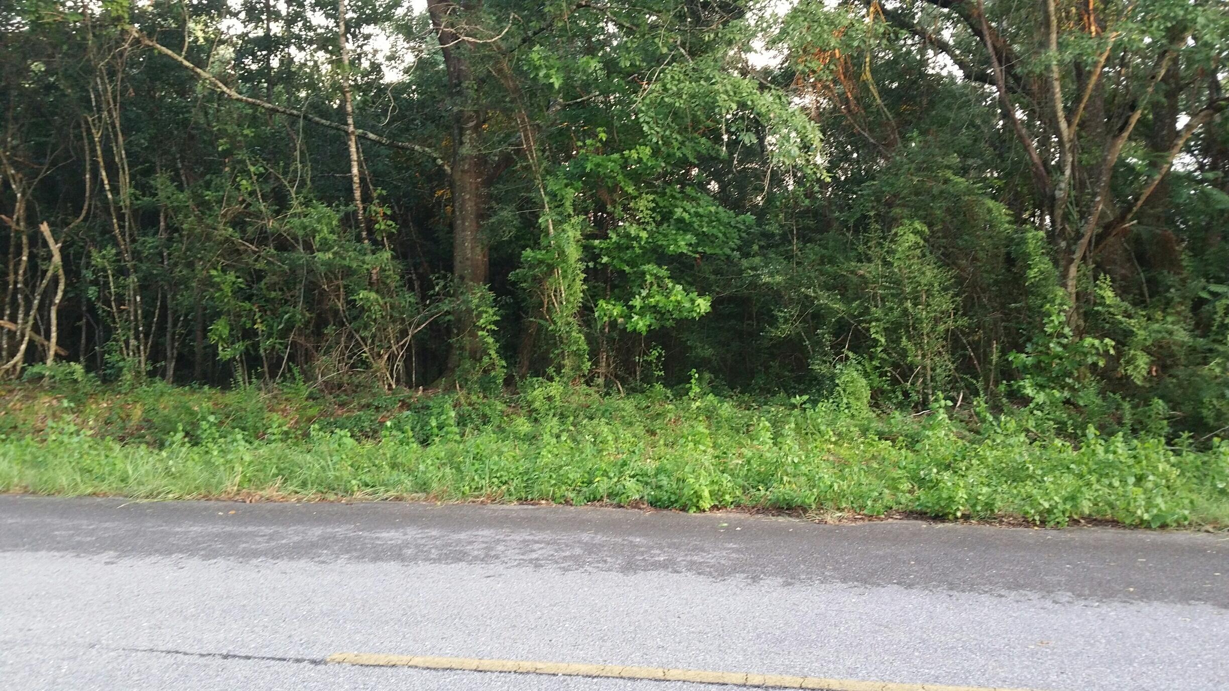 Nicely wooded lot in the county. Paved road frontage. Appears to be City water, phone, and power along the road. Level nice land with a private setting. Pretty hardwoods give lots of shade. No HOA restrictions or fees. Mobile homes allowed.