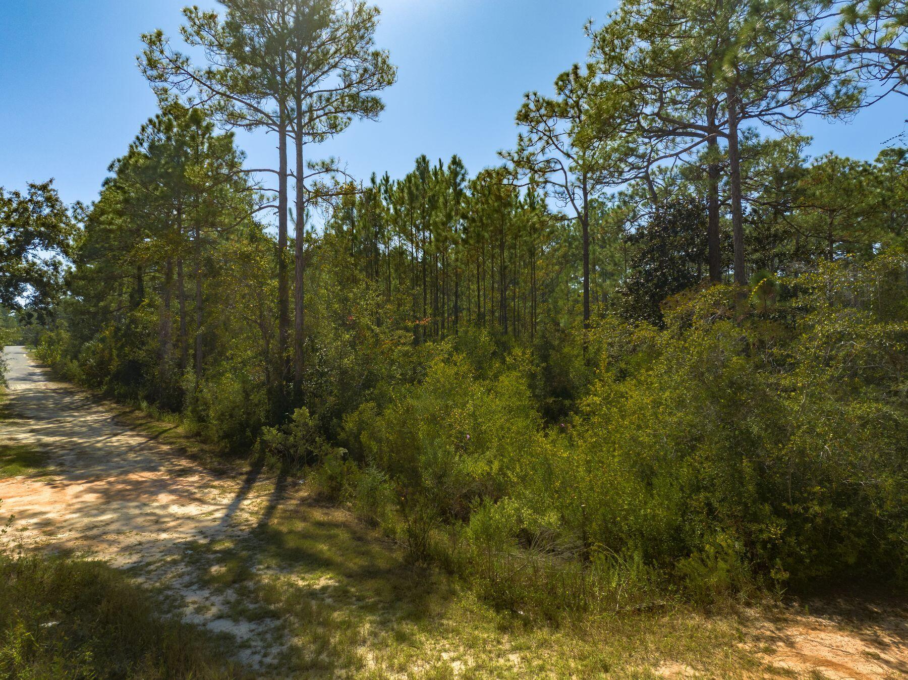 TOWN OF SANTA ROSA - Land