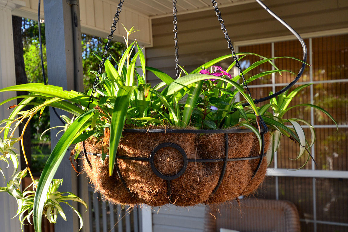 PINE GARDEN UNREC - Residential