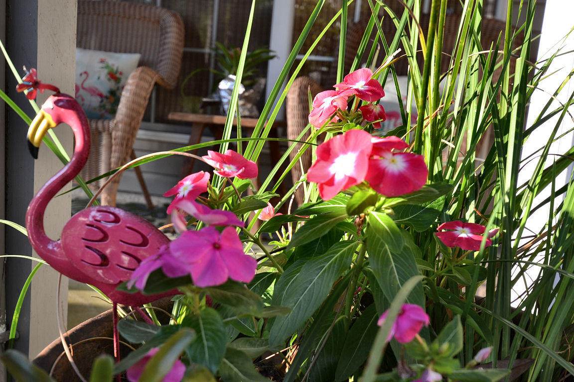 PINE GARDEN UNREC - Residential