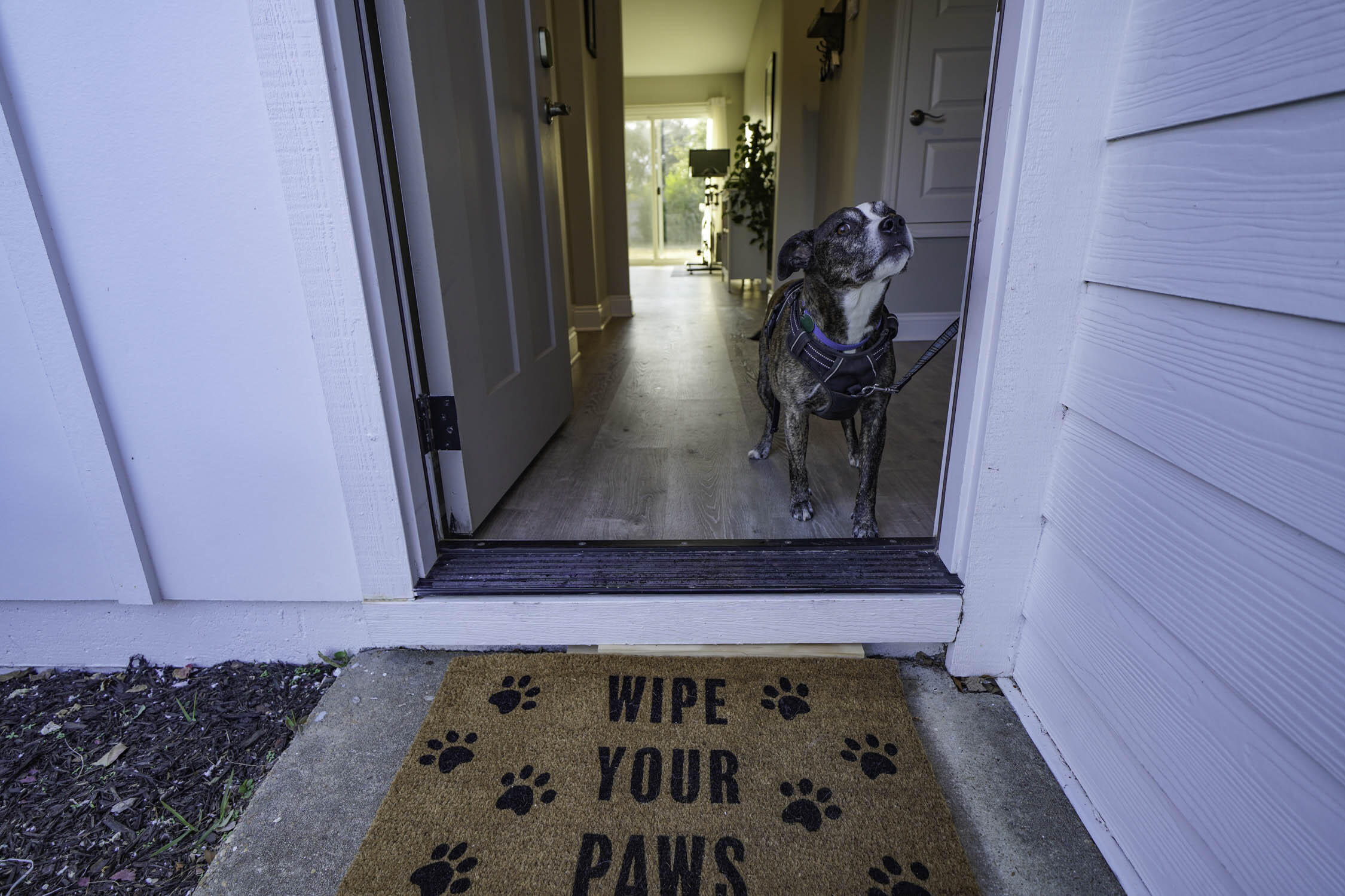 CALHOUN S/D TO DESTIN - Residential