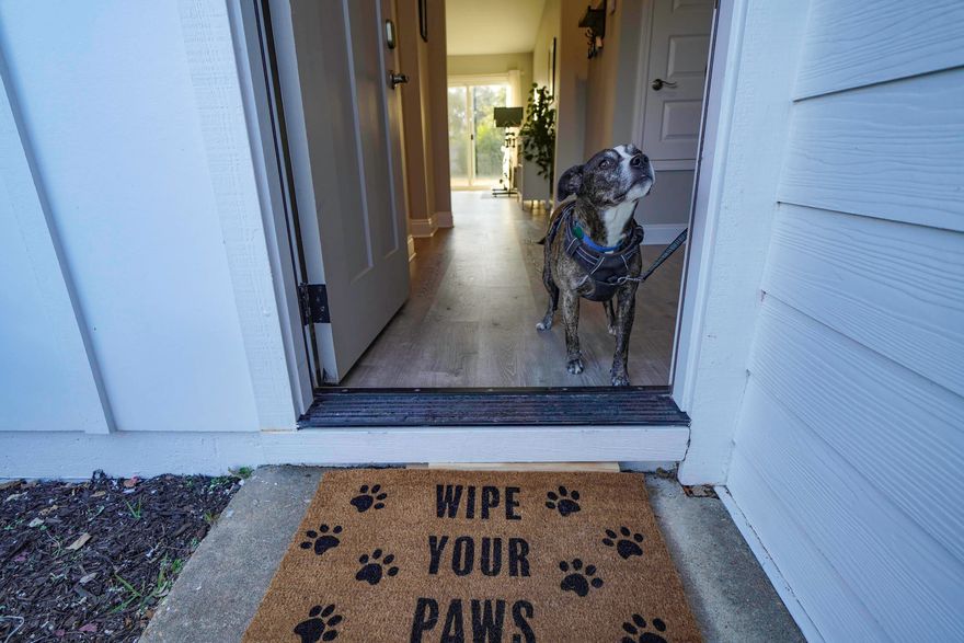 Partnering with Eglin Pet Welfare Adoption Center to bring you the best of both worlds - puppies and a gorgeous home! This stunning 3 bedroom, 2 bathroom home is located just a short distance from the beautiful beaches of Destin. The home has been completely renovated and boasts a modern, open floor plan. The kitchen features stainless steel appliances, sleek cabinets, and quartz countertops. The living room is spacious and flooded with natural light, making it the perfect place to relax after a day at the beach. All three bedrooms are spacious and feature ample closet space. The master suite has a private bathroom with a fabulous walk-in shower with dual heads and double vanity. The two additional bedrooms share a full bathroom with a shower/tub combo.