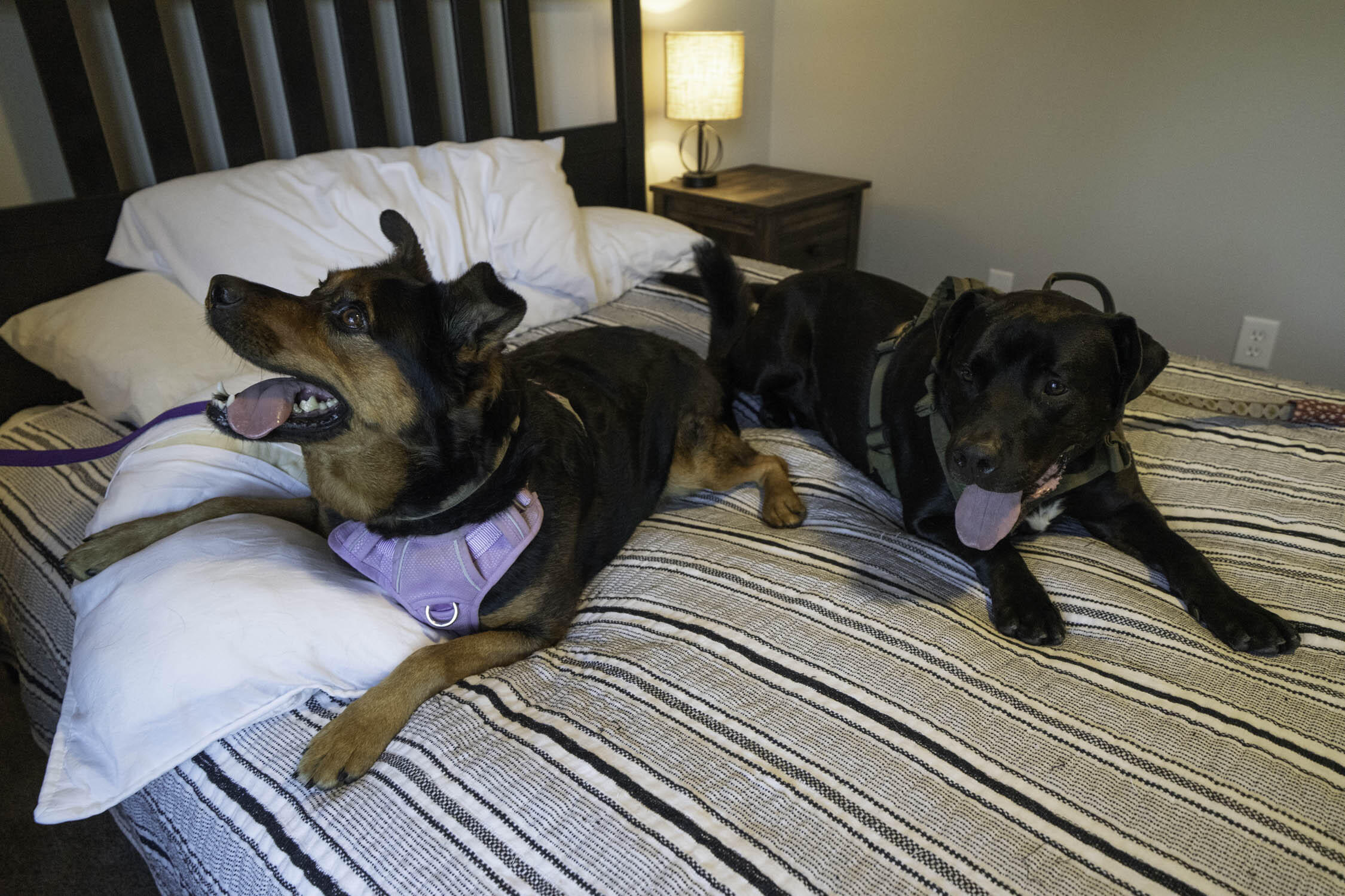 CALHOUN S/D TO DESTIN - Residential