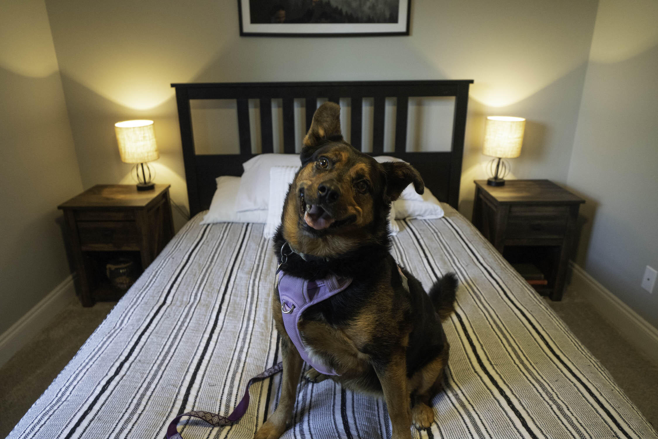 CALHOUN S/D TO DESTIN - Residential