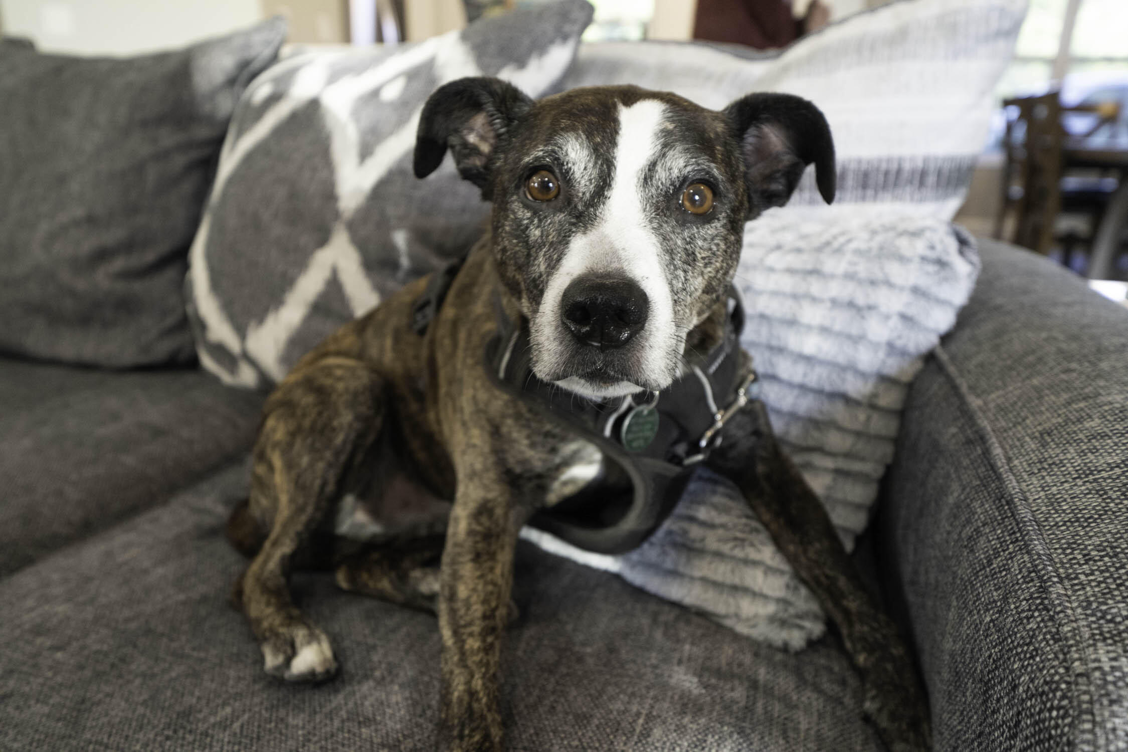 CALHOUN S/D TO DESTIN - Residential