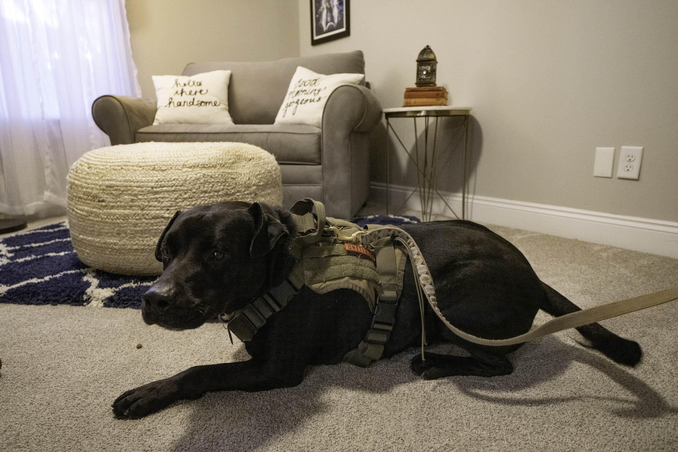 CALHOUN S/D TO DESTIN - Residential