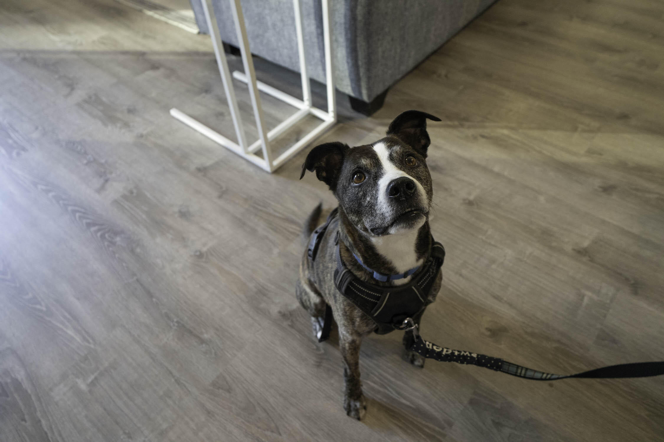 CALHOUN S/D TO DESTIN - Residential