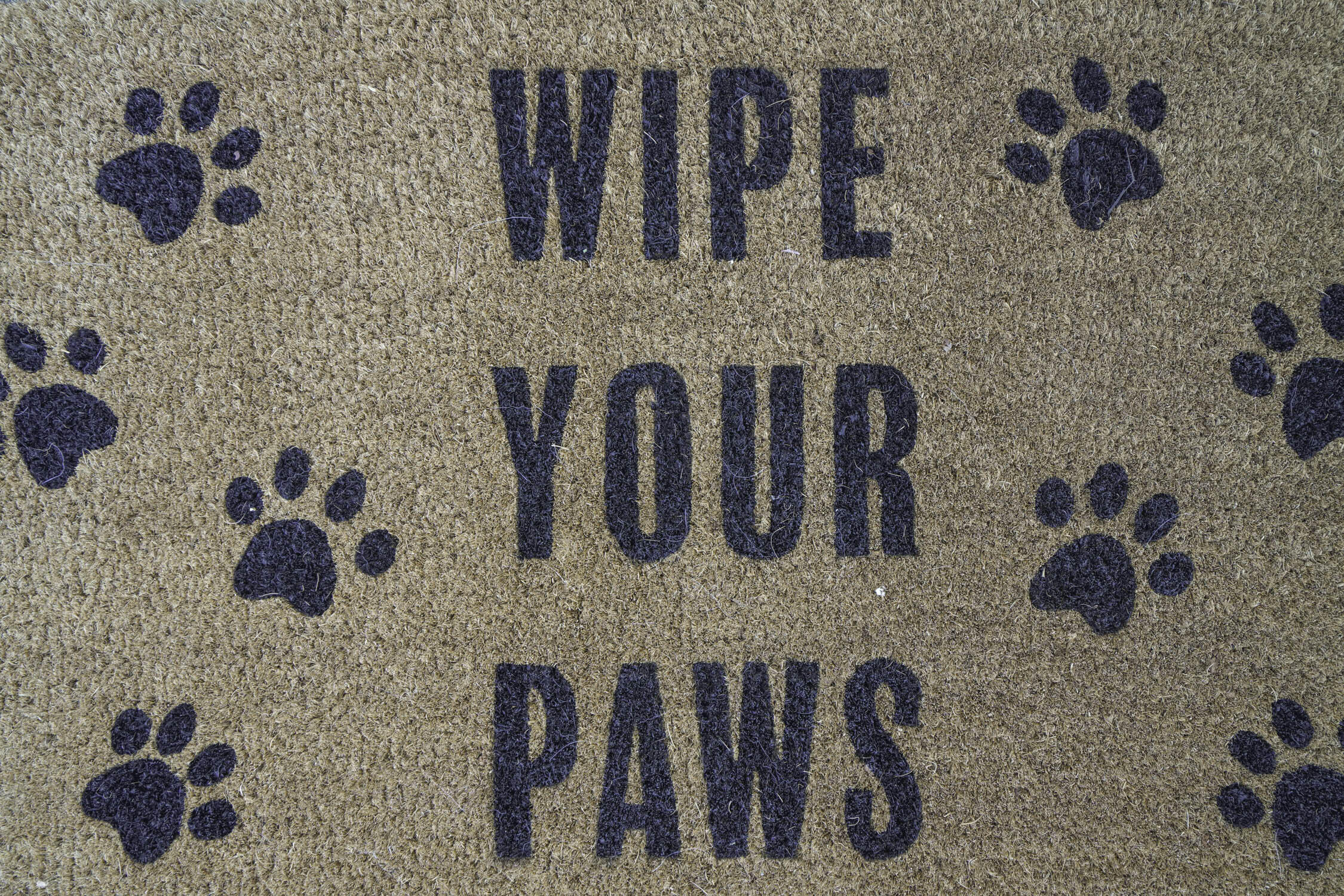 CALHOUN S/D TO DESTIN - Residential