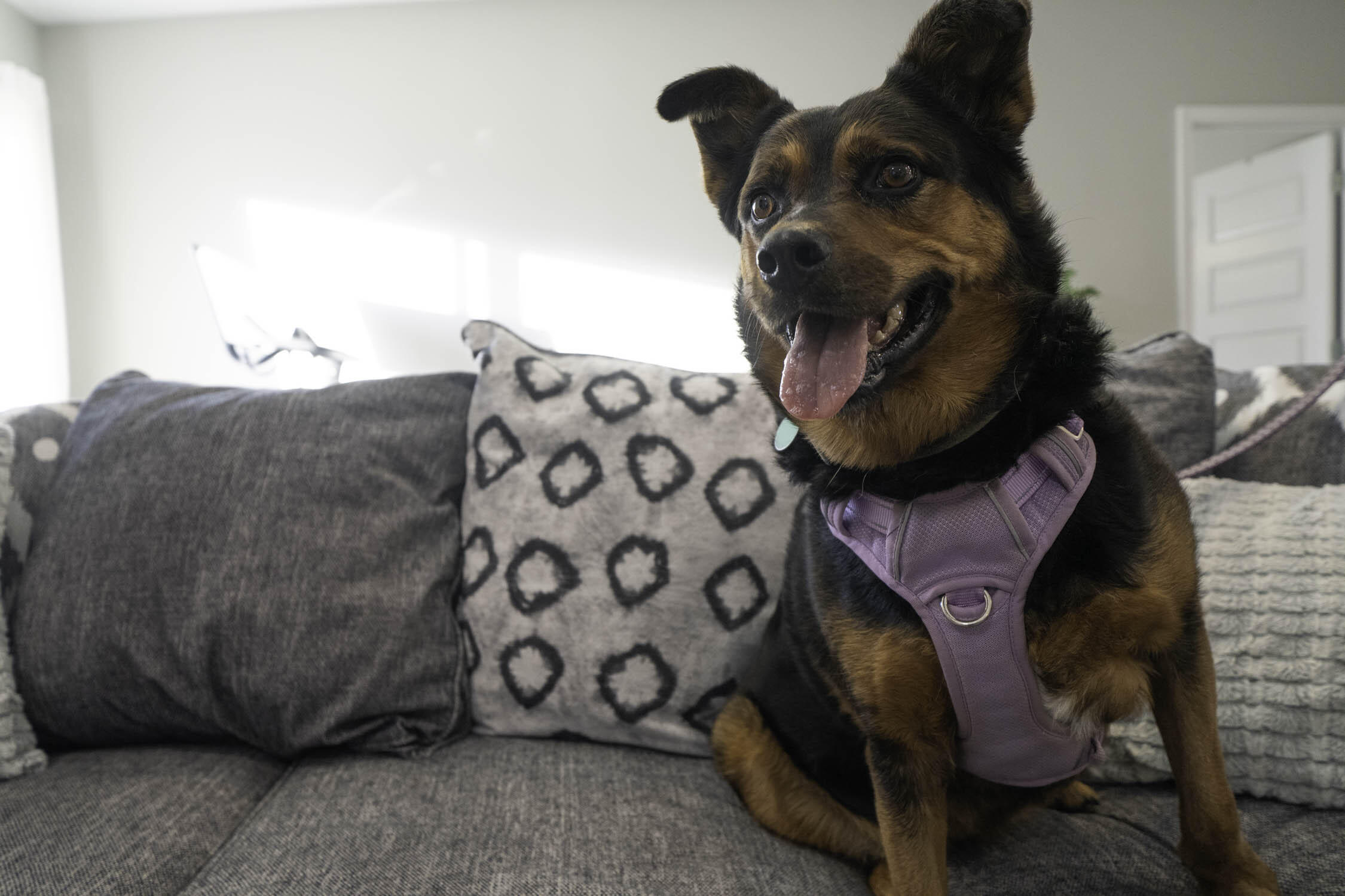 CALHOUN S/D TO DESTIN - Residential