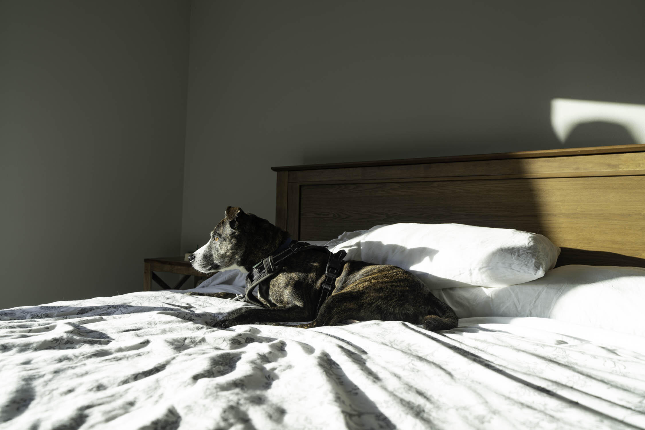 CALHOUN S/D TO DESTIN - Residential