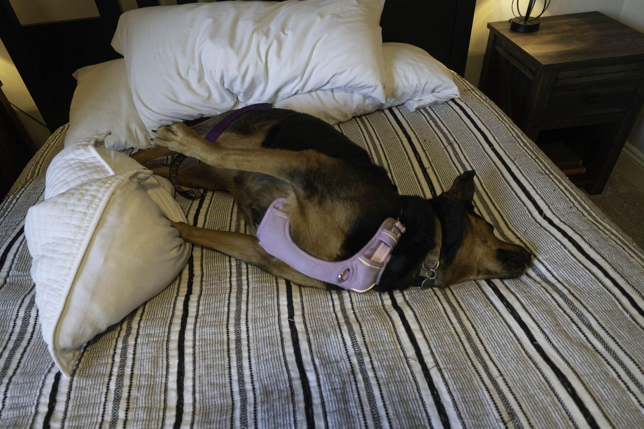 CALHOUN S/D TO DESTIN - Residential