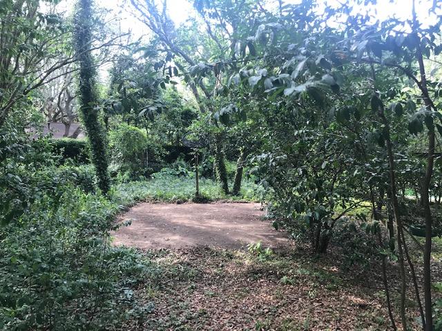 BAYOU WOODS 4TH ADDN LOT 16 - Residential