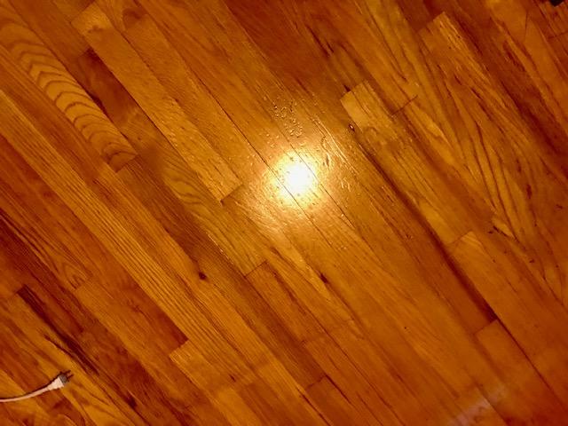 BAYOU WOODS 4TH ADDN LOT 16 - Residential