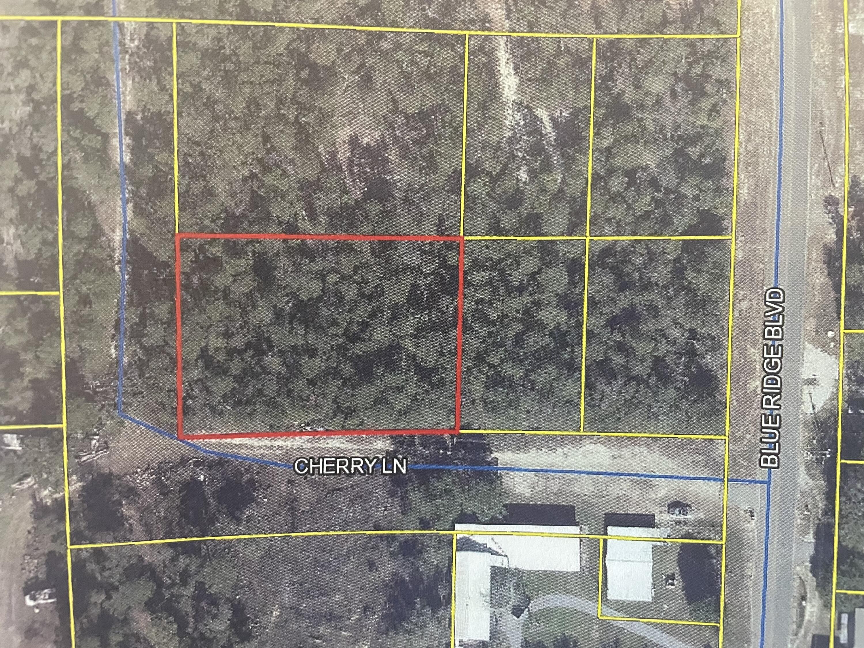 These beautiful wooded lots are located in the Oakwood HIlls subdivision in Mossy Head Florida.