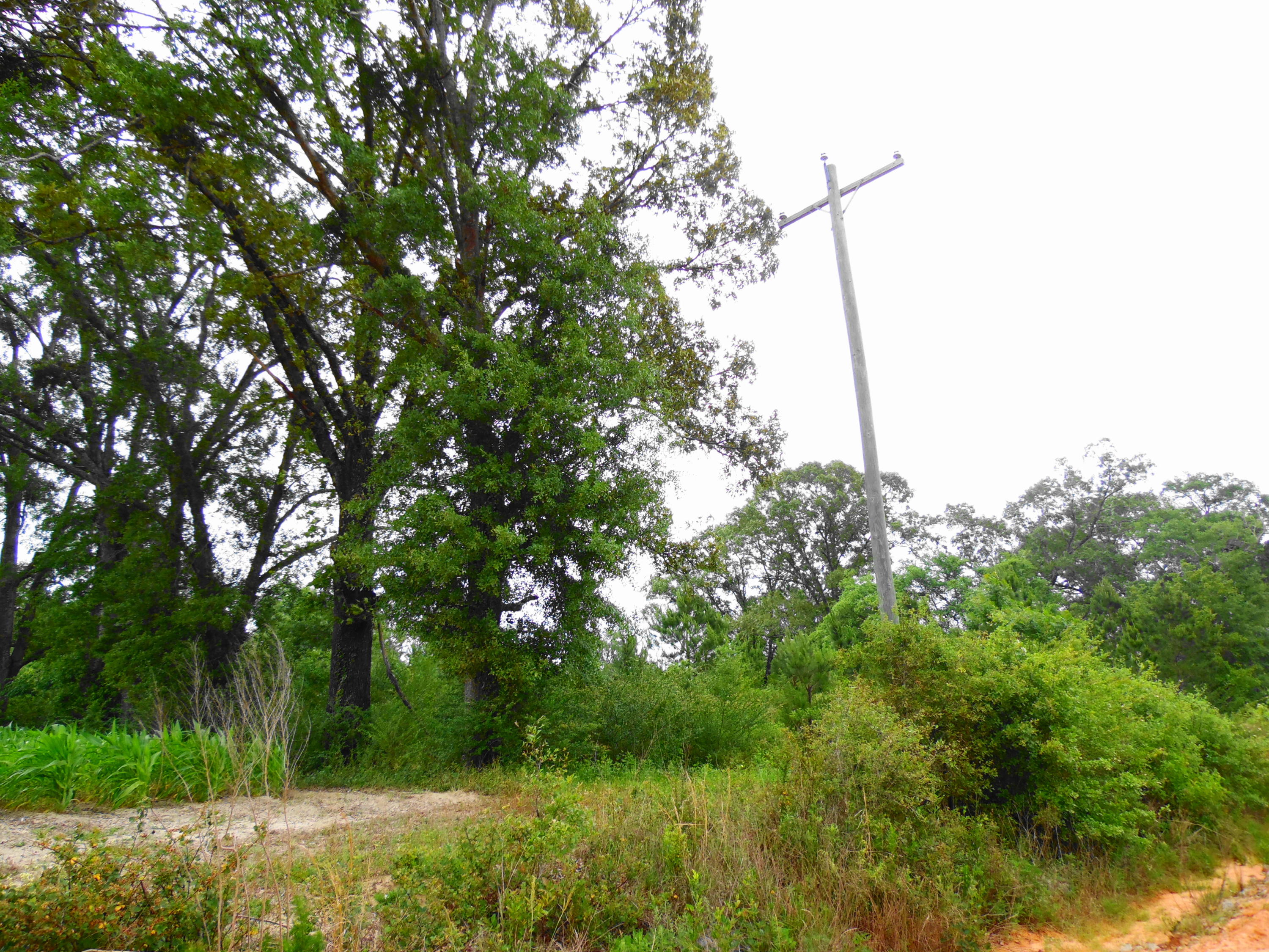 Metes and Bounds - Farm