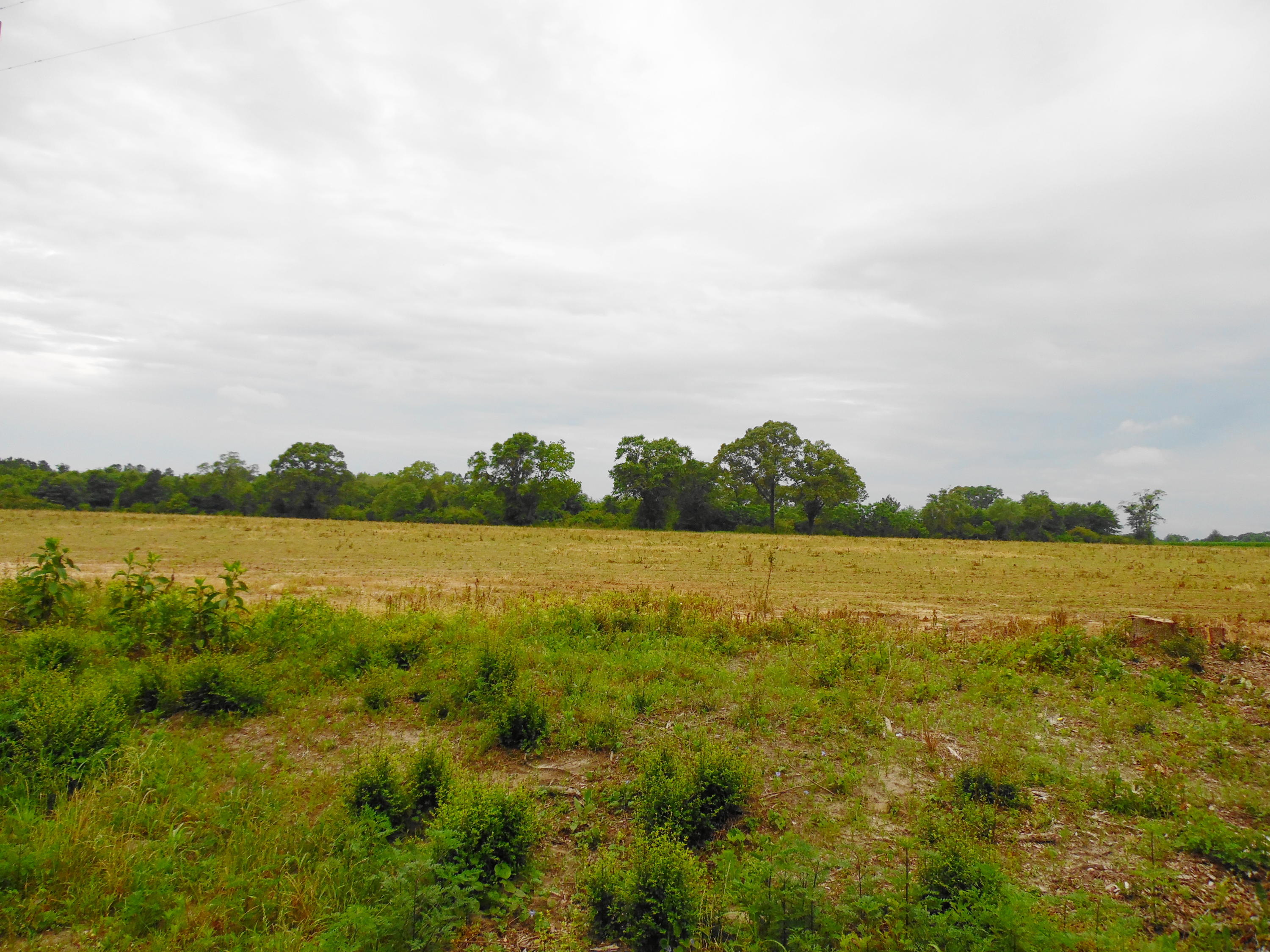 Metes and Bounds - Farm