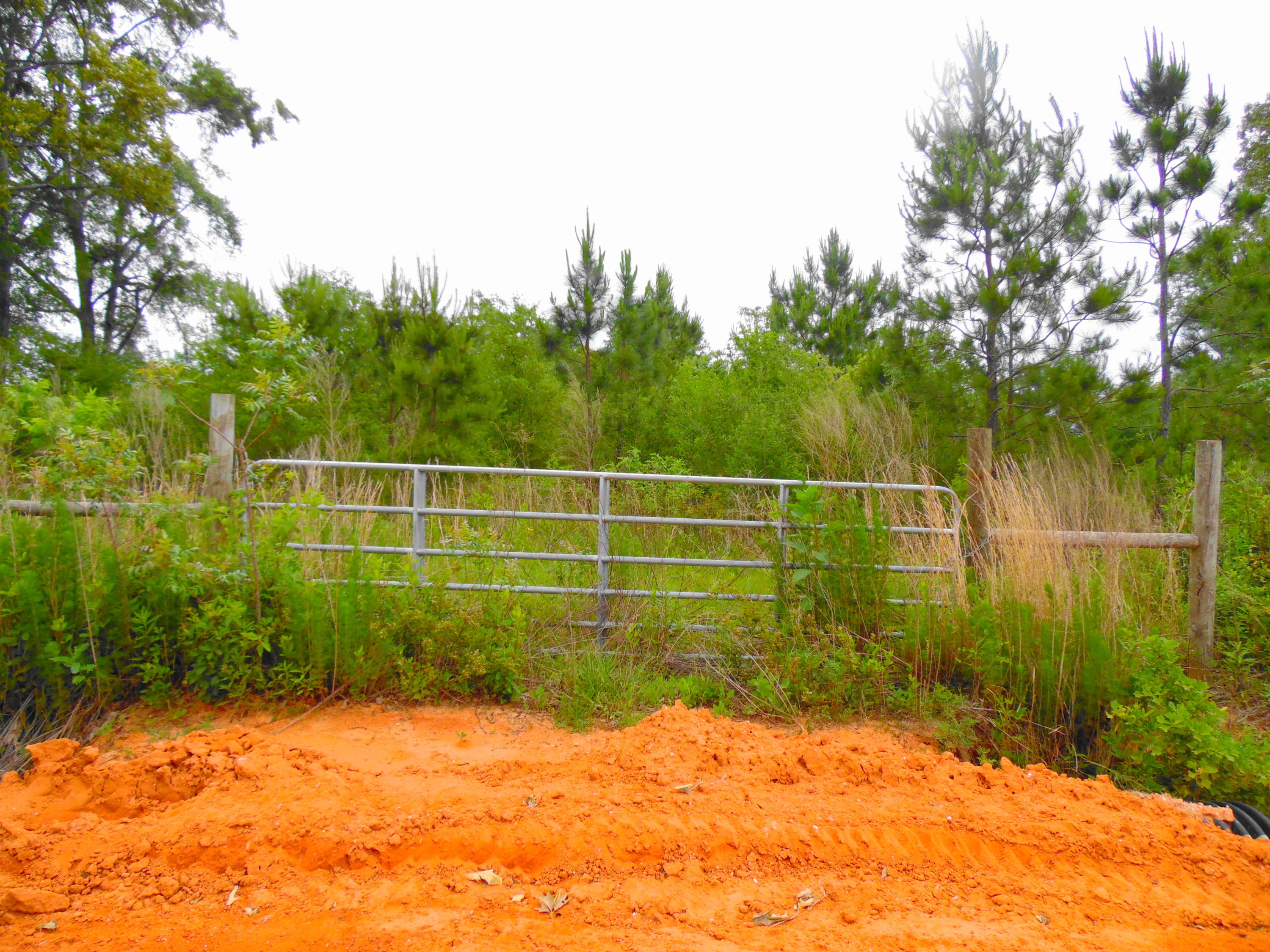 Metes and Bounds - Farm