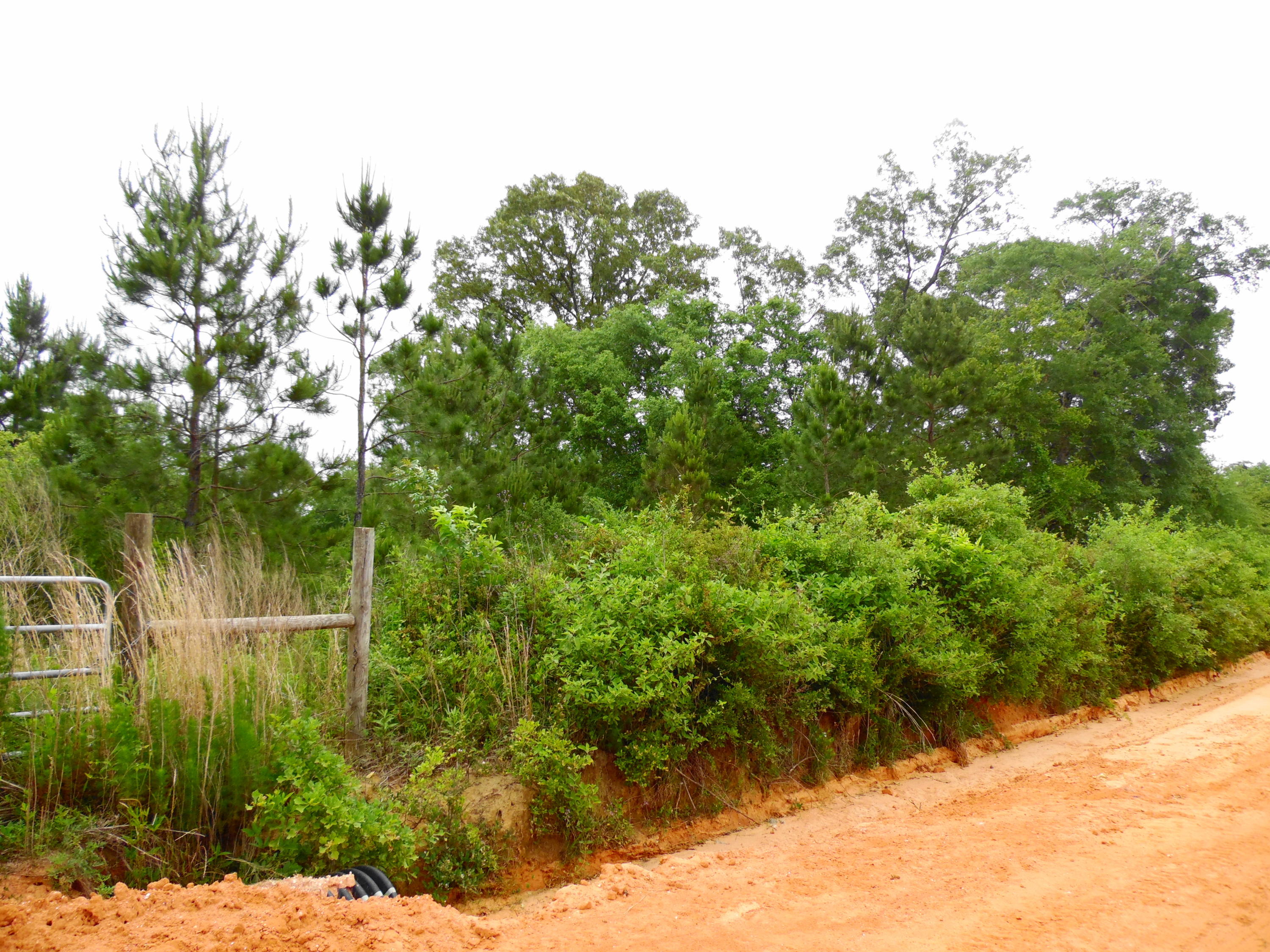 Metes and Bounds - Farm