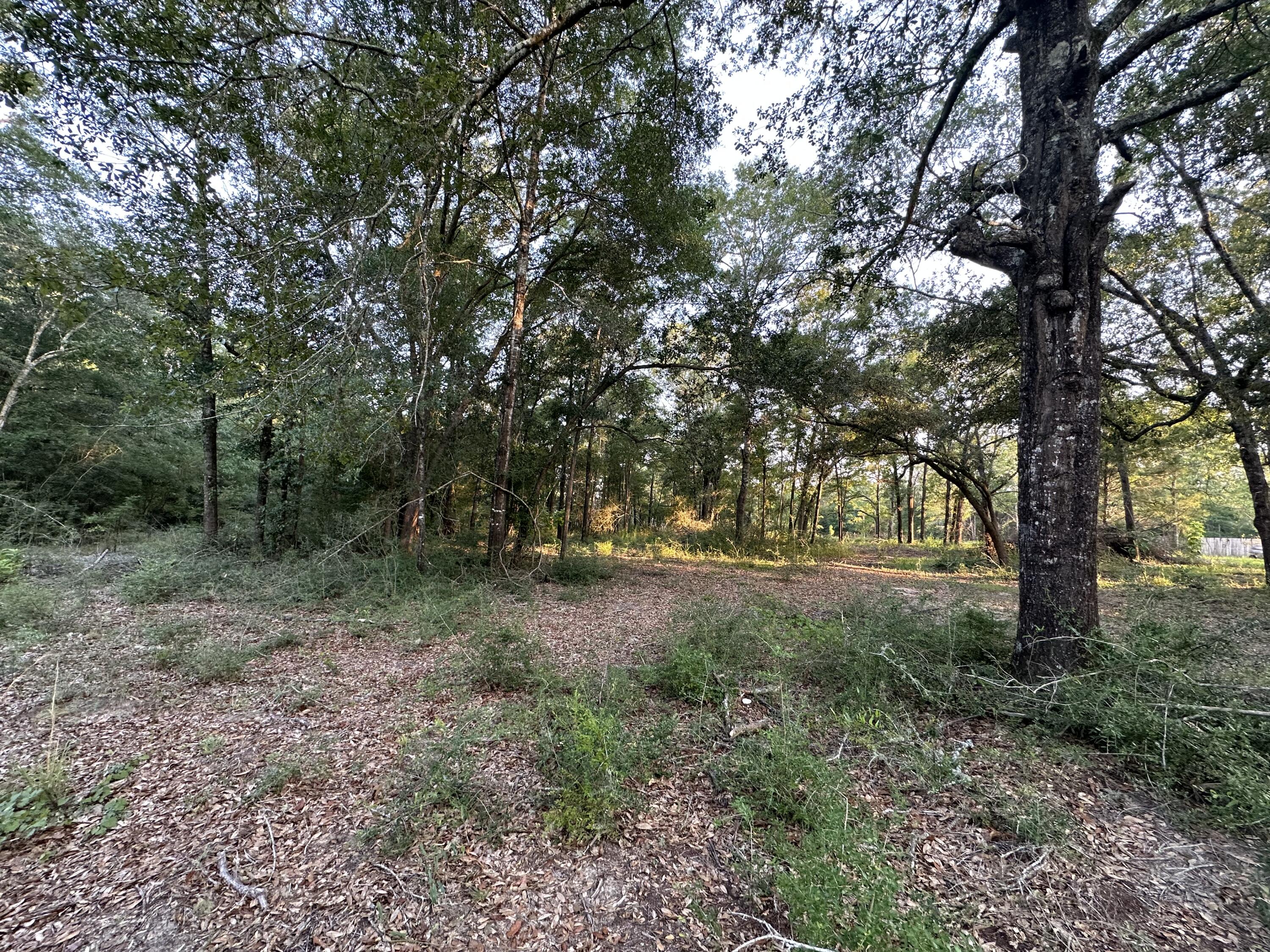 METES & BOUNDS - Land