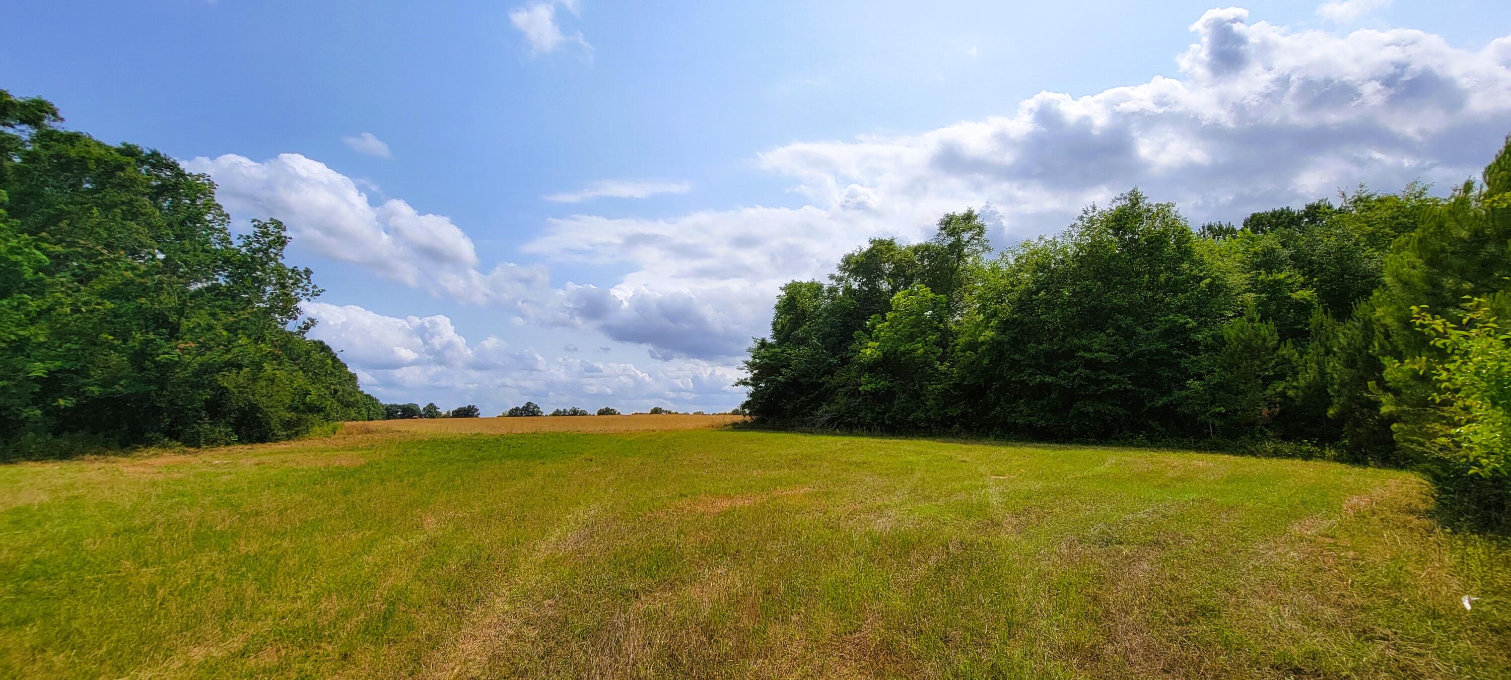 NO RECORDED SUBDIVISION - Farm