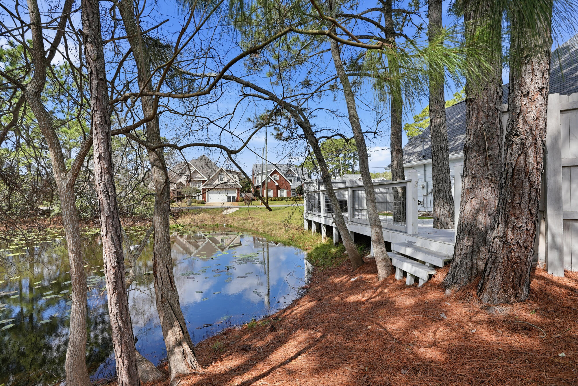 OLDE FLORIDA LAKES - Residential