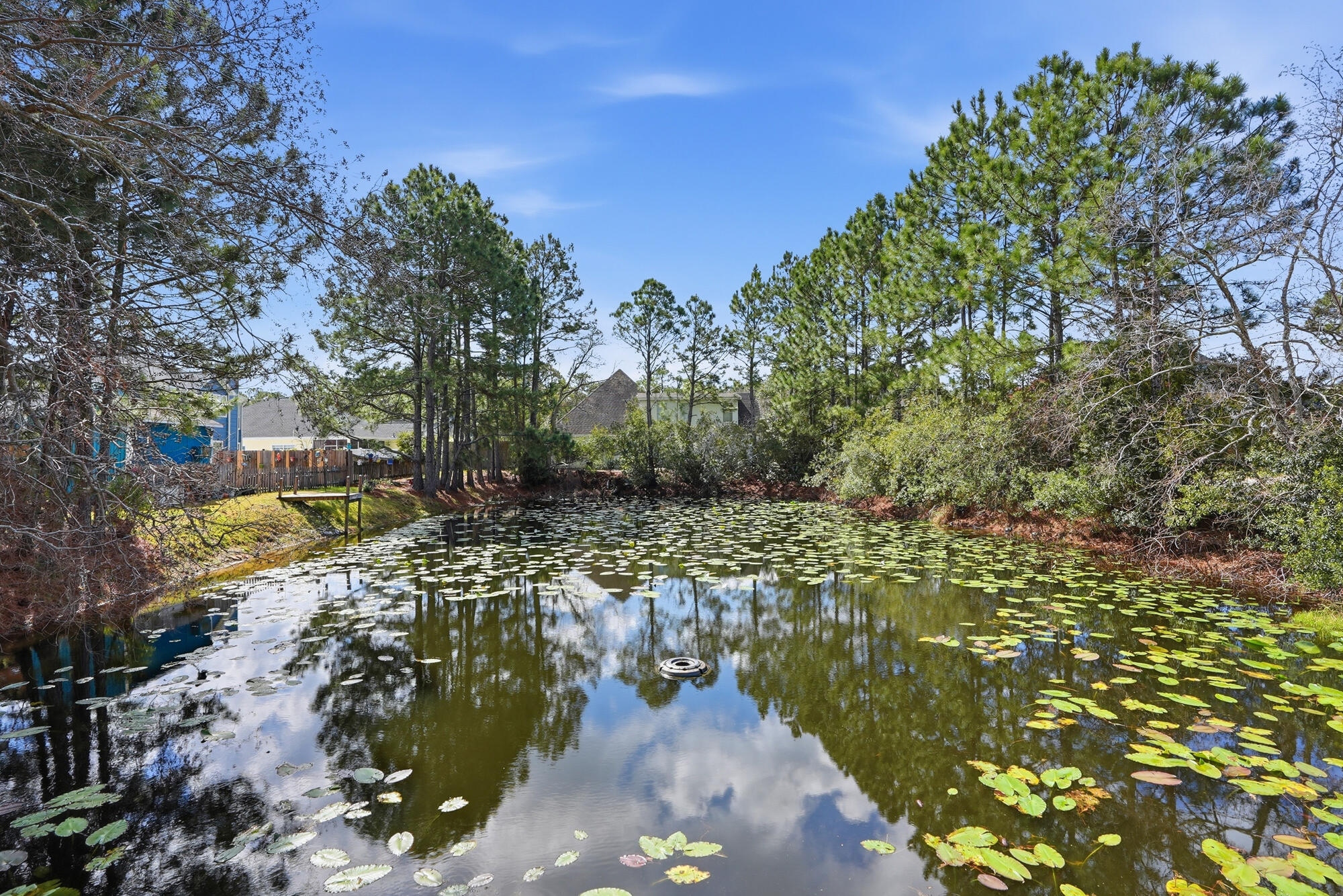 OLDE FLORIDA LAKES - Residential