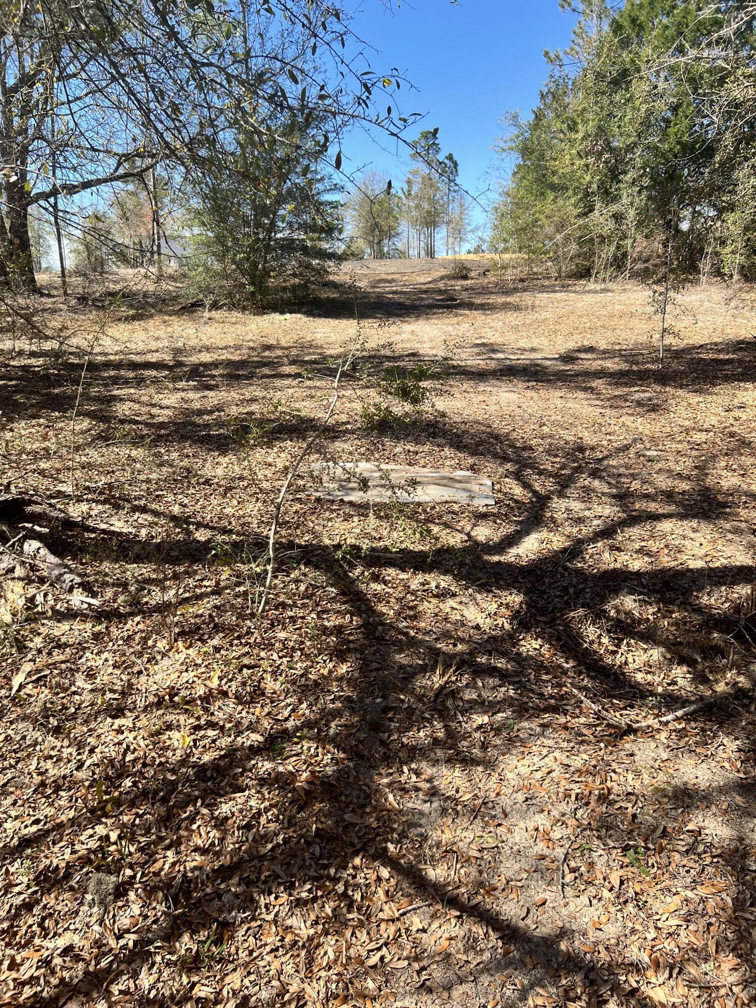 NO RECORDED SUBDIVISION - Farm