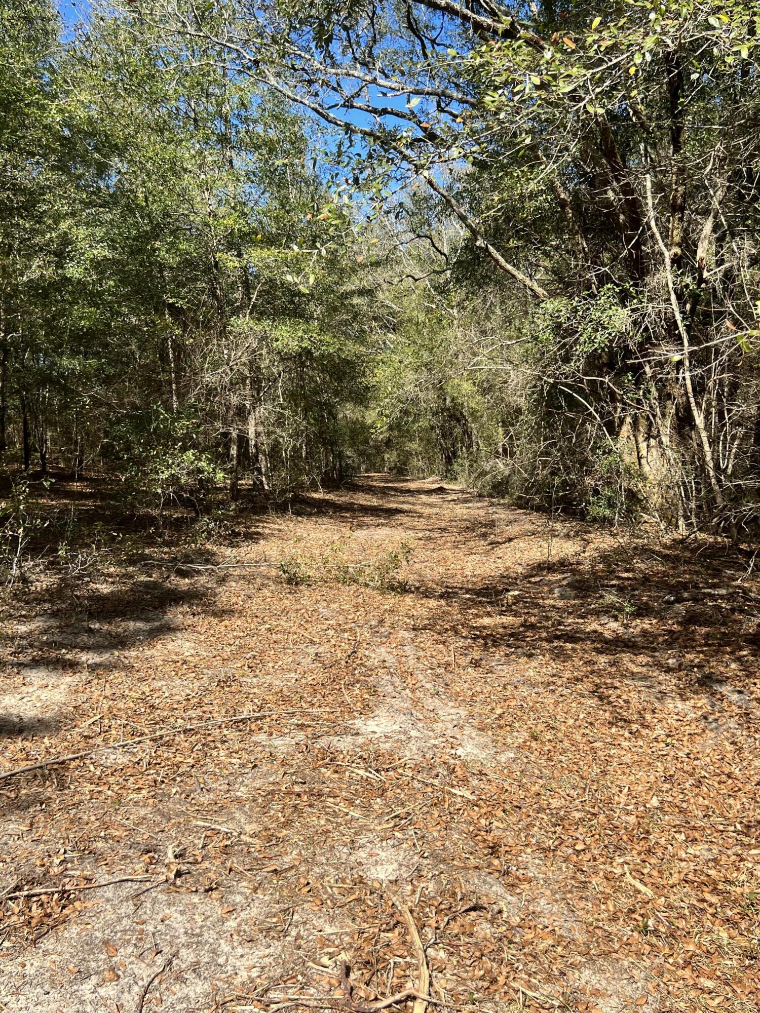 NO RECORDED SUBDIVISION - Farm