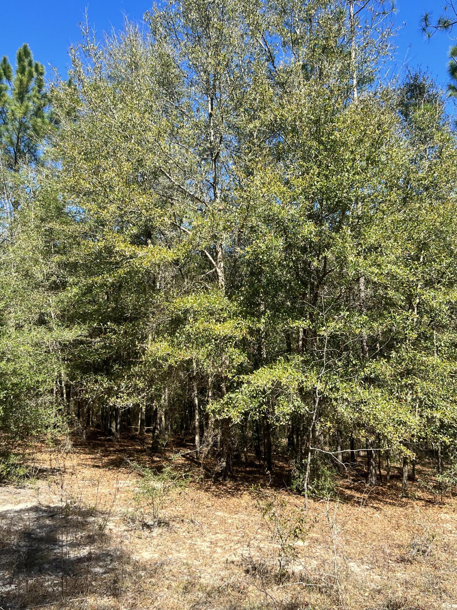 NO RECORDED SUBDIVISION - Farm