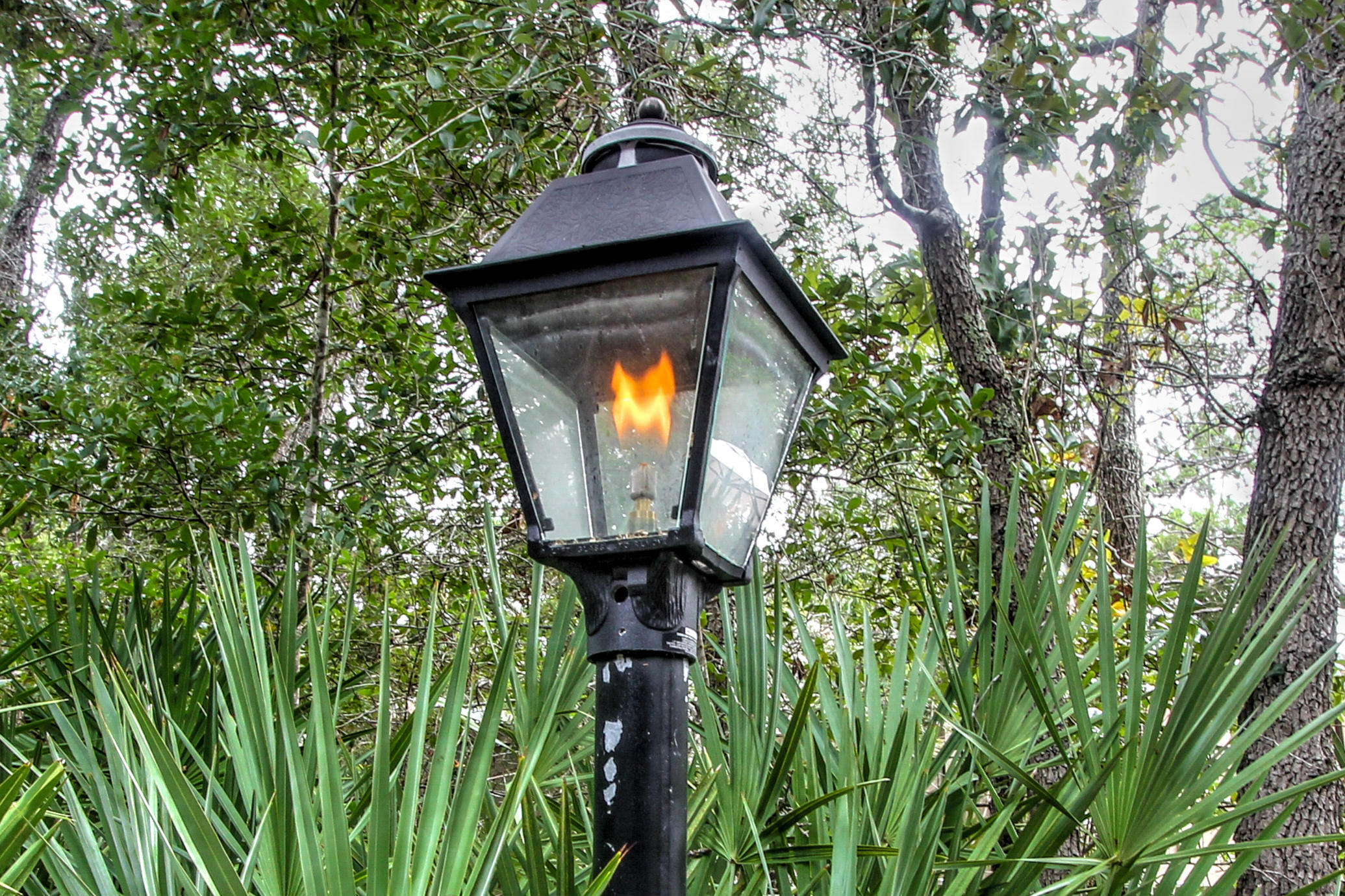 THE HAMMOCKS OF SEAGROVE - Residential