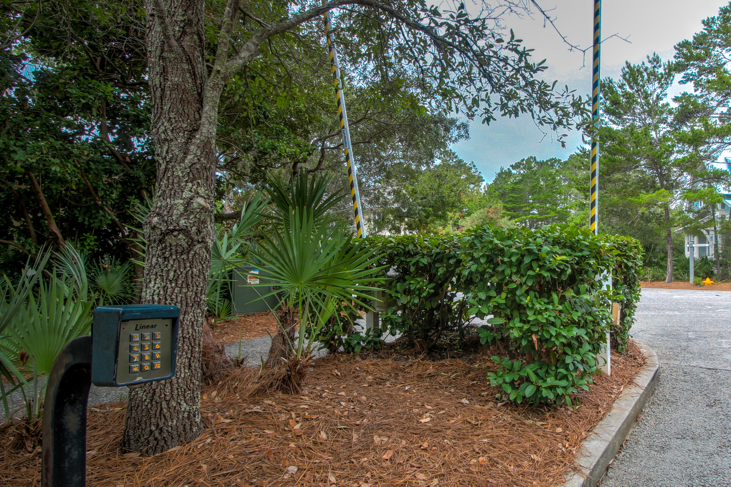 THE HAMMOCKS OF SEAGROVE - Residential