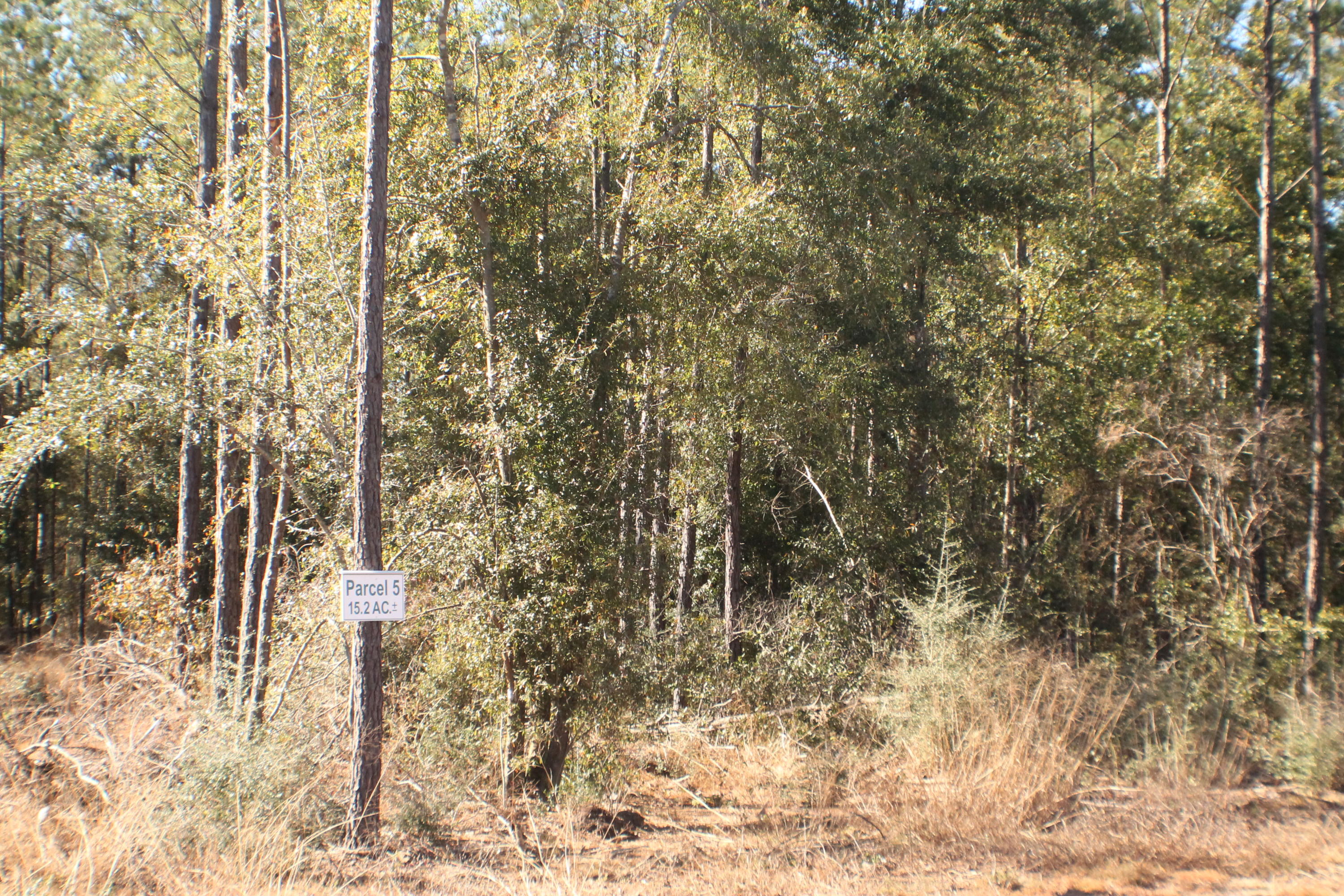 MILLERS BLUFF - Land