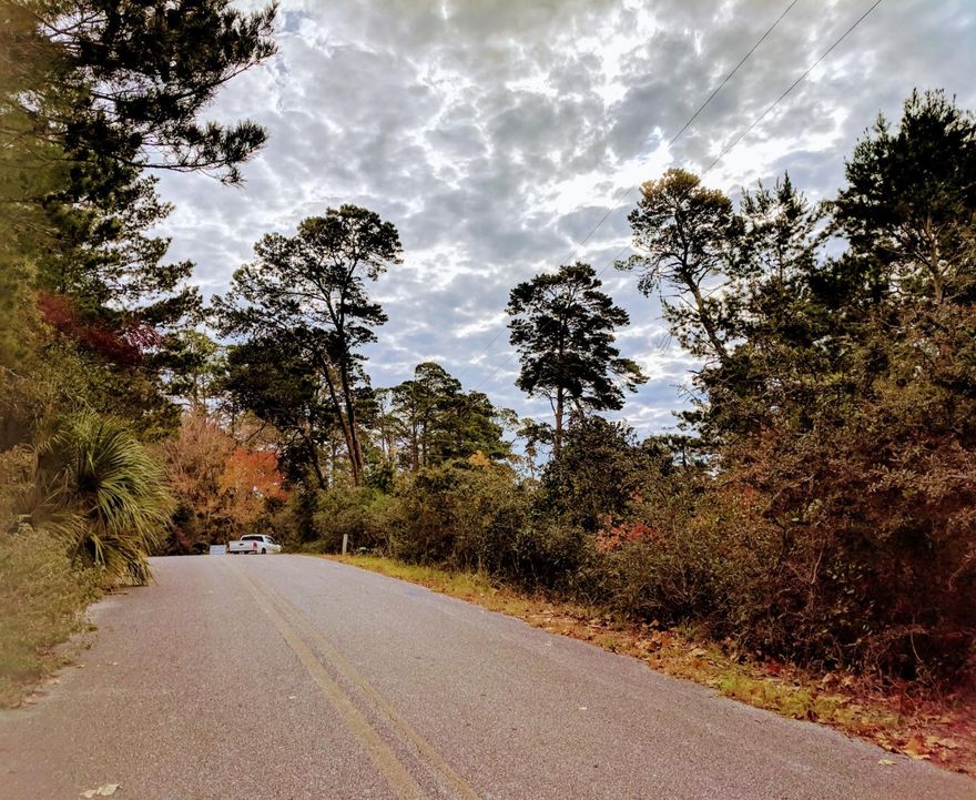 BEAUTIFUL HALF ACRE located in sought after neighborhood of Dune Allen with no HOA fees. This amazing oversized lot provides you with serenity and privacy with it's beautiful trees and nestled on a block with a cul de sac, so no thru traffic. This close-knit community is conveniently located on the west end, a short stroll to THREE beach accesses right off of Allen Loop Drive and 30A. It's a hop, skip and a jump to Gulf Place, Grand Boulevard, Santa Rosa Beach Golf Club (is within walking distance), Publix, Sacred Heart Hospital, Sandestin Outlet, movie theatre, shopping, dining, and all the amazing coastal towns along 30A. No build out time, build your dream home when you're ready. Lots this size are difficult to come by.